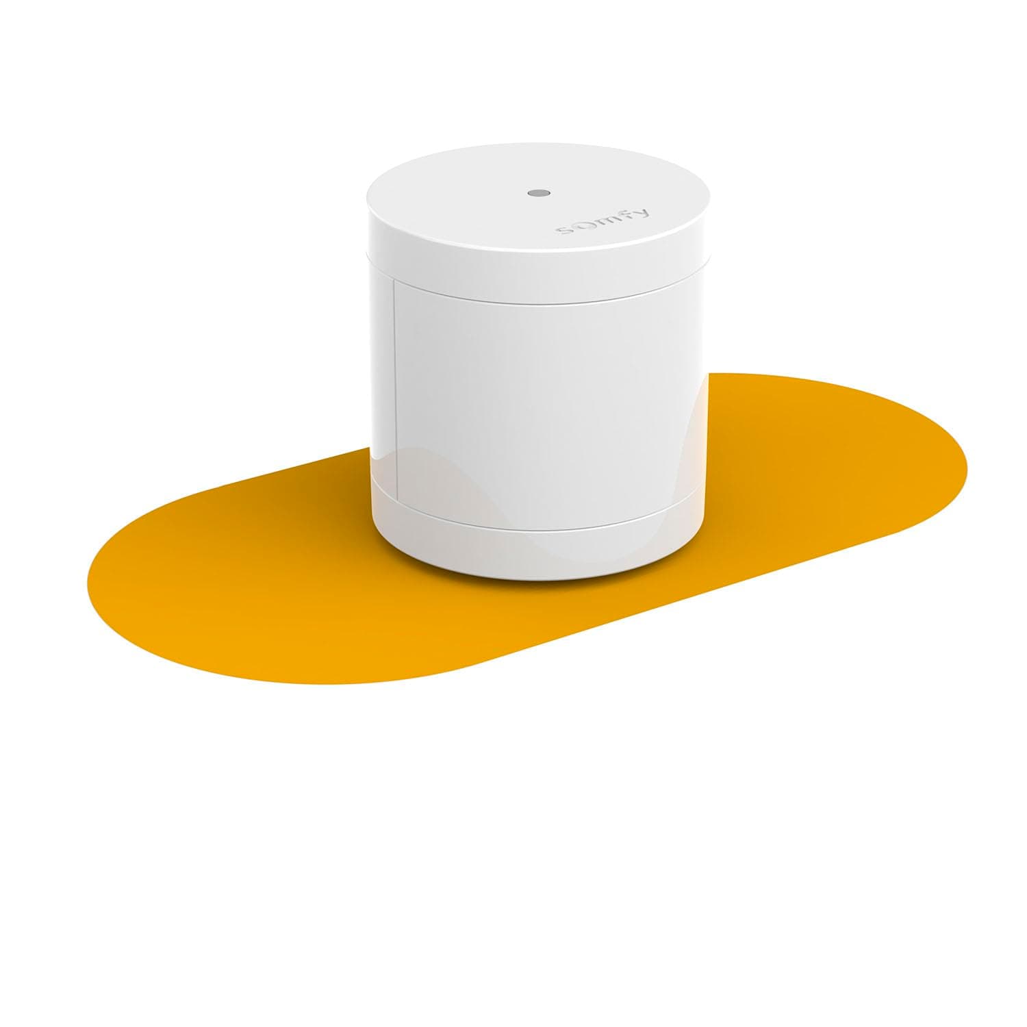 Somfy 2401490 - Détecteur de Mouvement Intérieur - Compatible Animaux - Compatible Home Alarm (Advanced, Essential), One (+)