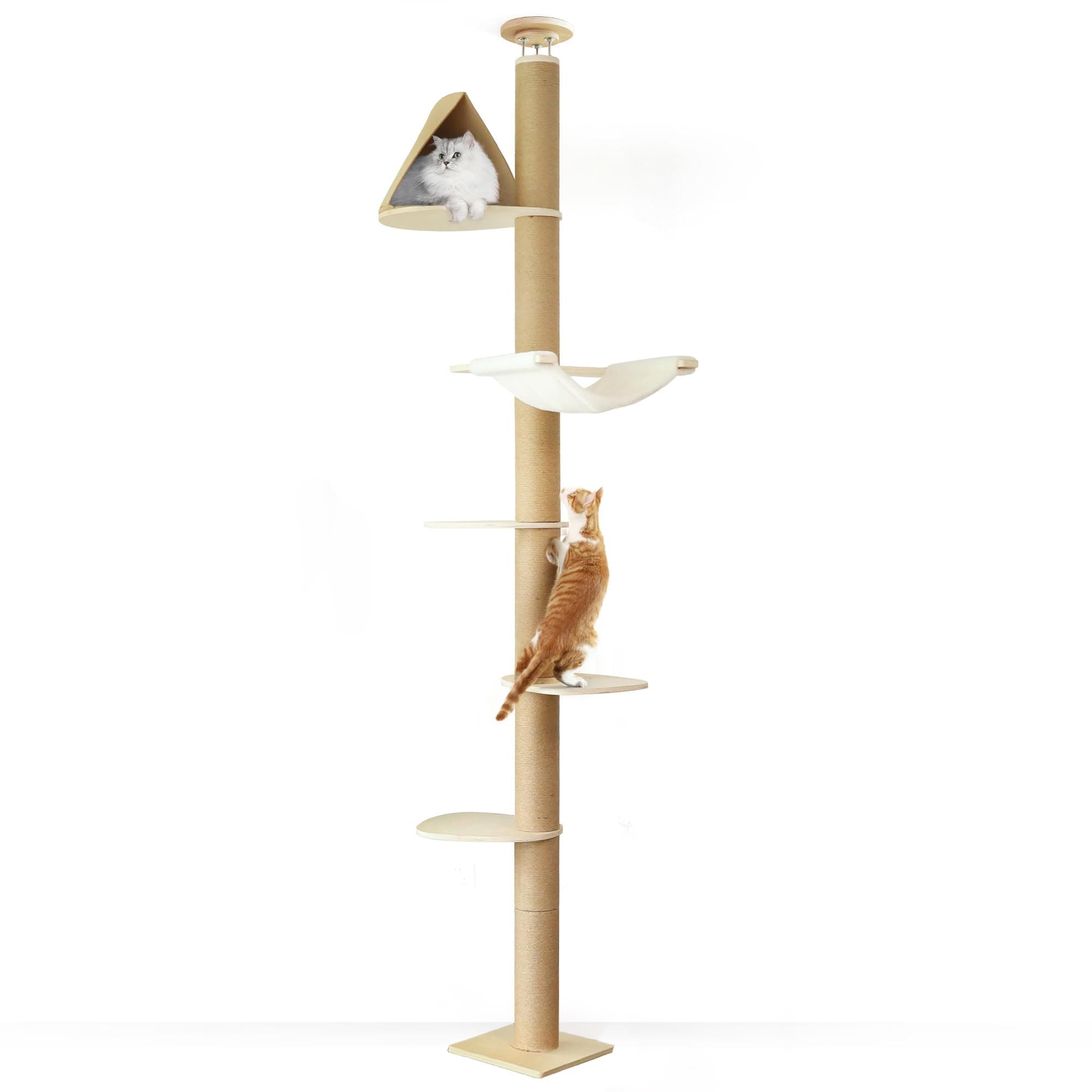 FUKUMARU Arbre à Chat du Sol au Plafond, Tour d'escalade à 6 Niveaux de Hauteur Réglable avec Griffoirs Épais, Centre d'Activité pour Chat avec Capsule Transparente et Hamac Douillet, Beige