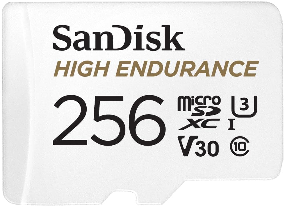 SanDisk High Endurance 256 GB Tarjeta microSD para videovigilancia, hasta 100 MB/s, Class 10, U3 y V30