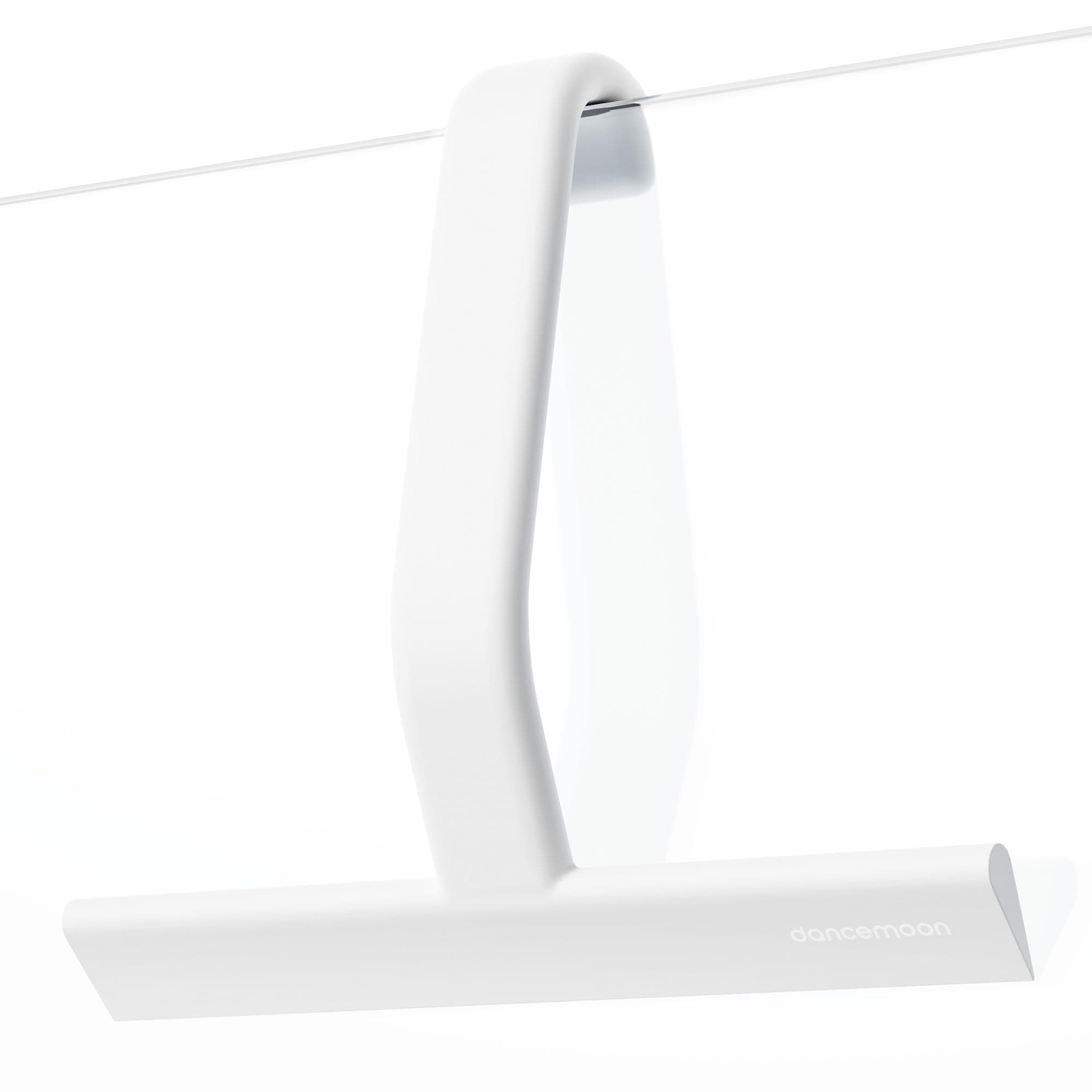 dancemoon JustHang Raclette Douche, Silicone Monobloc avec Crochet intégré, essuyage sans Traces pour parois de Douche, fenêtres, miroirs, carrelages et Voitures, 25 cm, Blanc