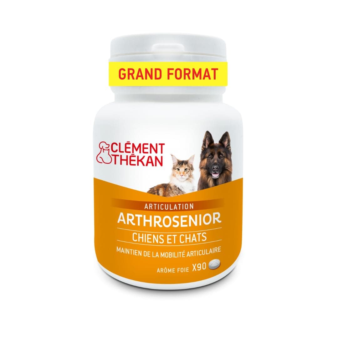 Clément Thékan Arthrosenior Grand Format - Aide à la mobilité articulaire chez Le Chien et Le Chat - Stimule la régénération du Cartilage - 90 comprimés sécables aromatisés