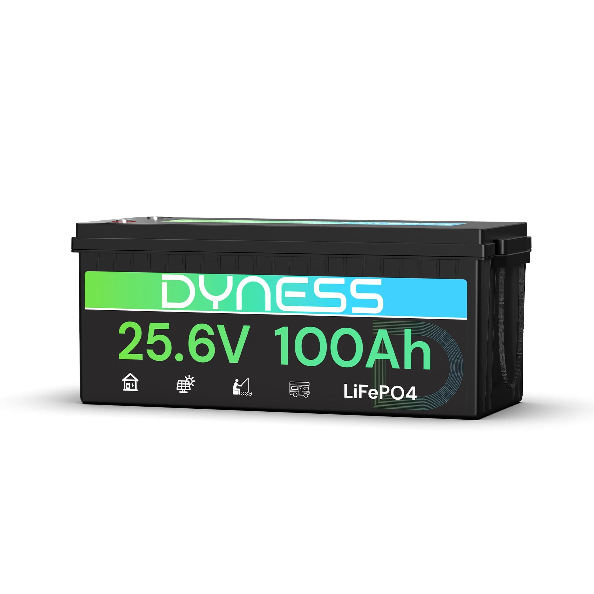Dyness Batterie Lithium LiFePO4 24V 100Ah avec BMS intégré 100A et Protection Basses Températures, Batterie Lithium à Décharge Lente pour Camping Car, Panneau Solaire, Bateaux Bass, Hors-Réseau