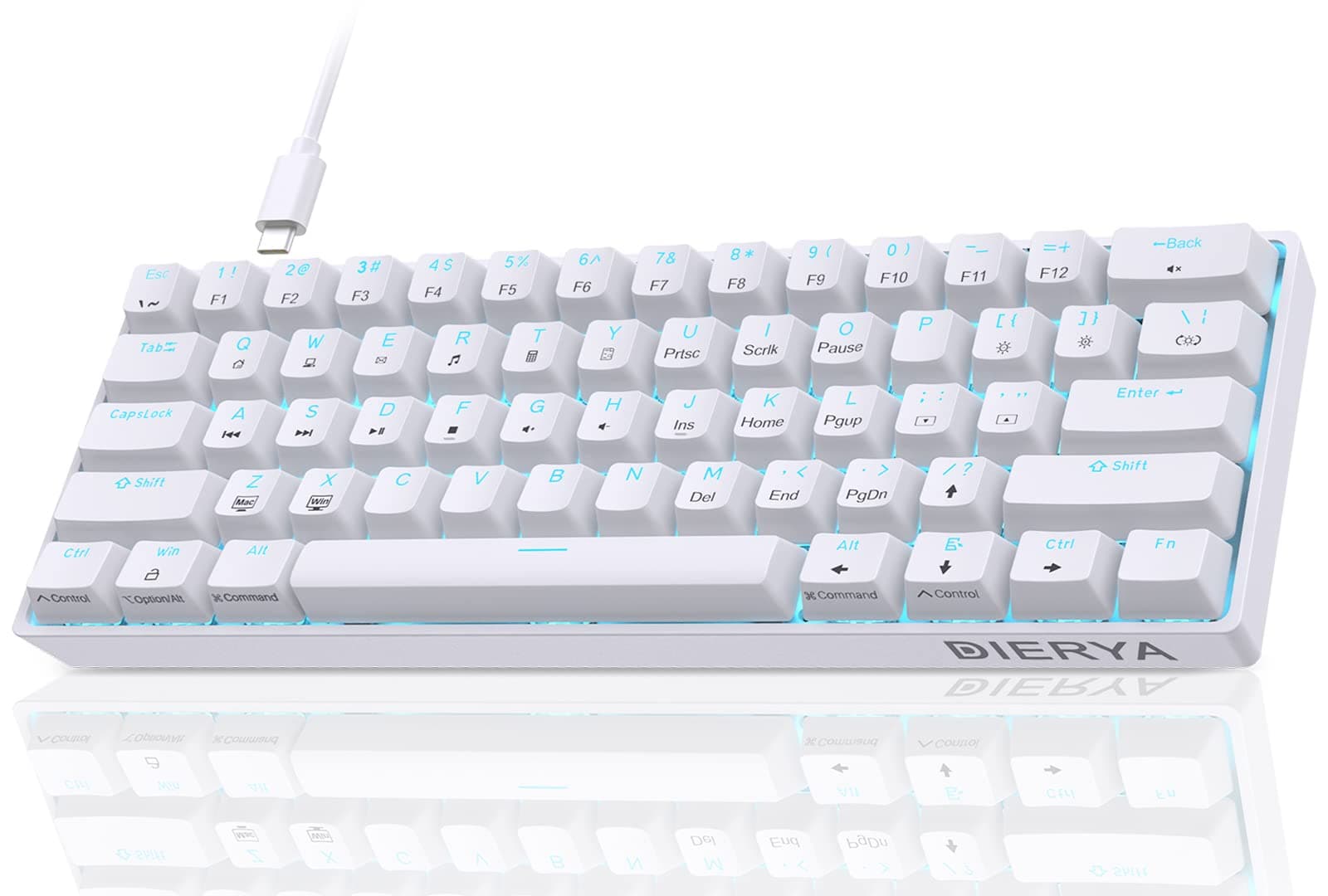 Dierya Tastiera da Gaming Meccanica al 60% con Interruttori Meccanici Clicky,DK61se Keyboard Gioco Monocromatico RGB Type-C Mini Compact 61 Tasti Anti-Ghosting（Layout US,QWERTY） Bianco