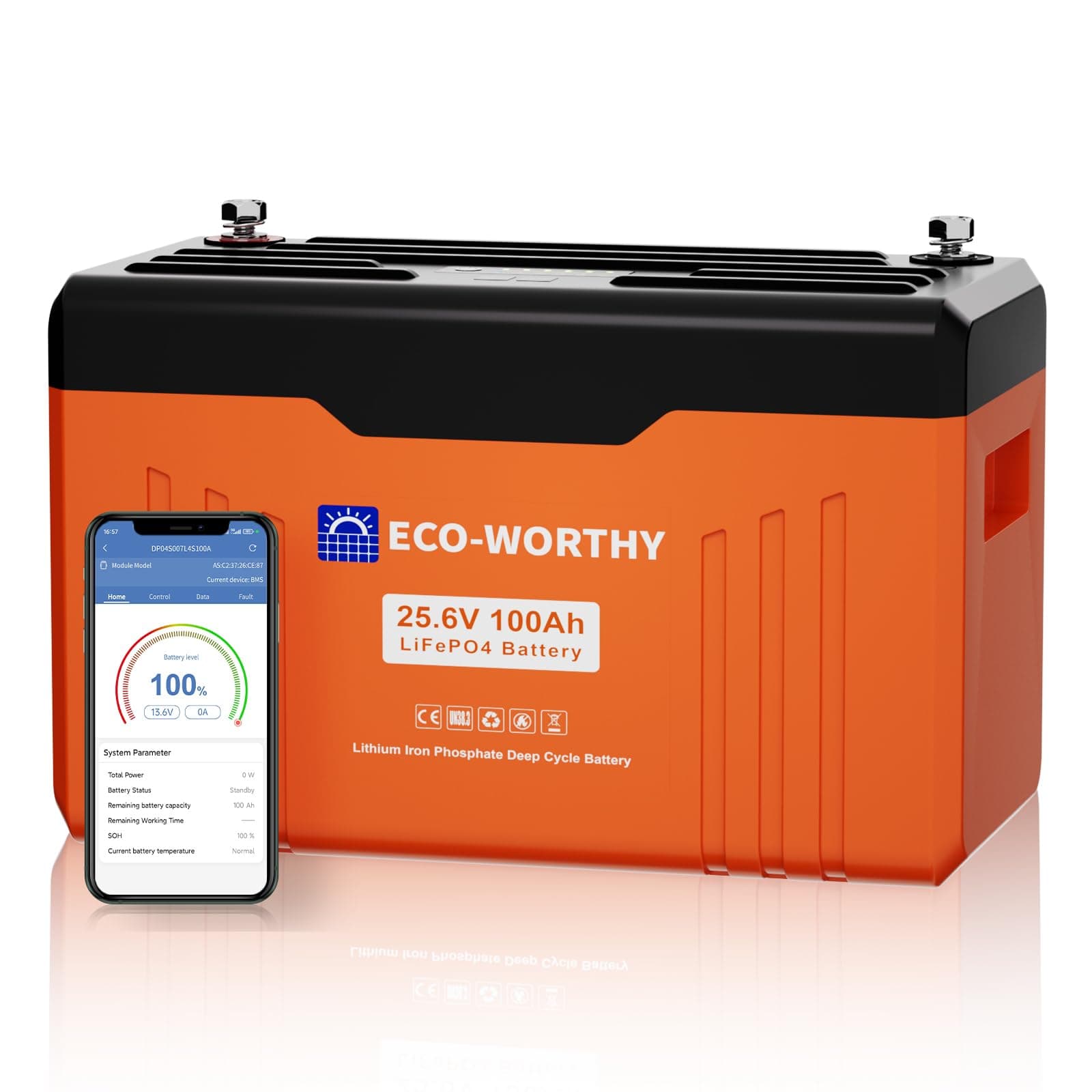 ECO-WORTHY Batteria al Litio LiFePO4 da 24 V 100 Ah con Bluetooth, BMS, SOC e Protezione a Bassa Temperatura, Max 15000 Cicli, 2560 Wh per Memorizzazione di Energia Domestica, Camper, Sistemi