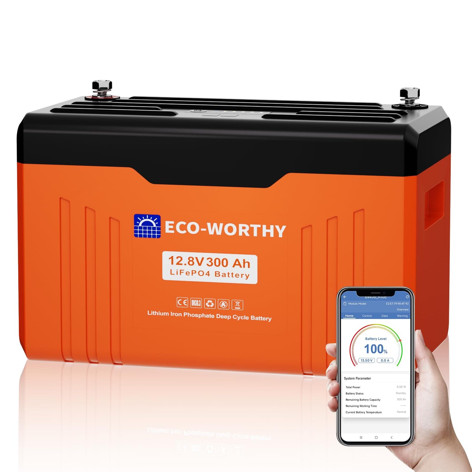 ECO-WORTHY LiFePO4 Bluetooth 12V 300Ah mit Display, Lithium Batterie 12V 300Ah mit 200A BMS Low Temperature Schutz und Max. 15000 Zyklens,3840Wh LiFePO4 12V für Wohnmobil,Solarpanel