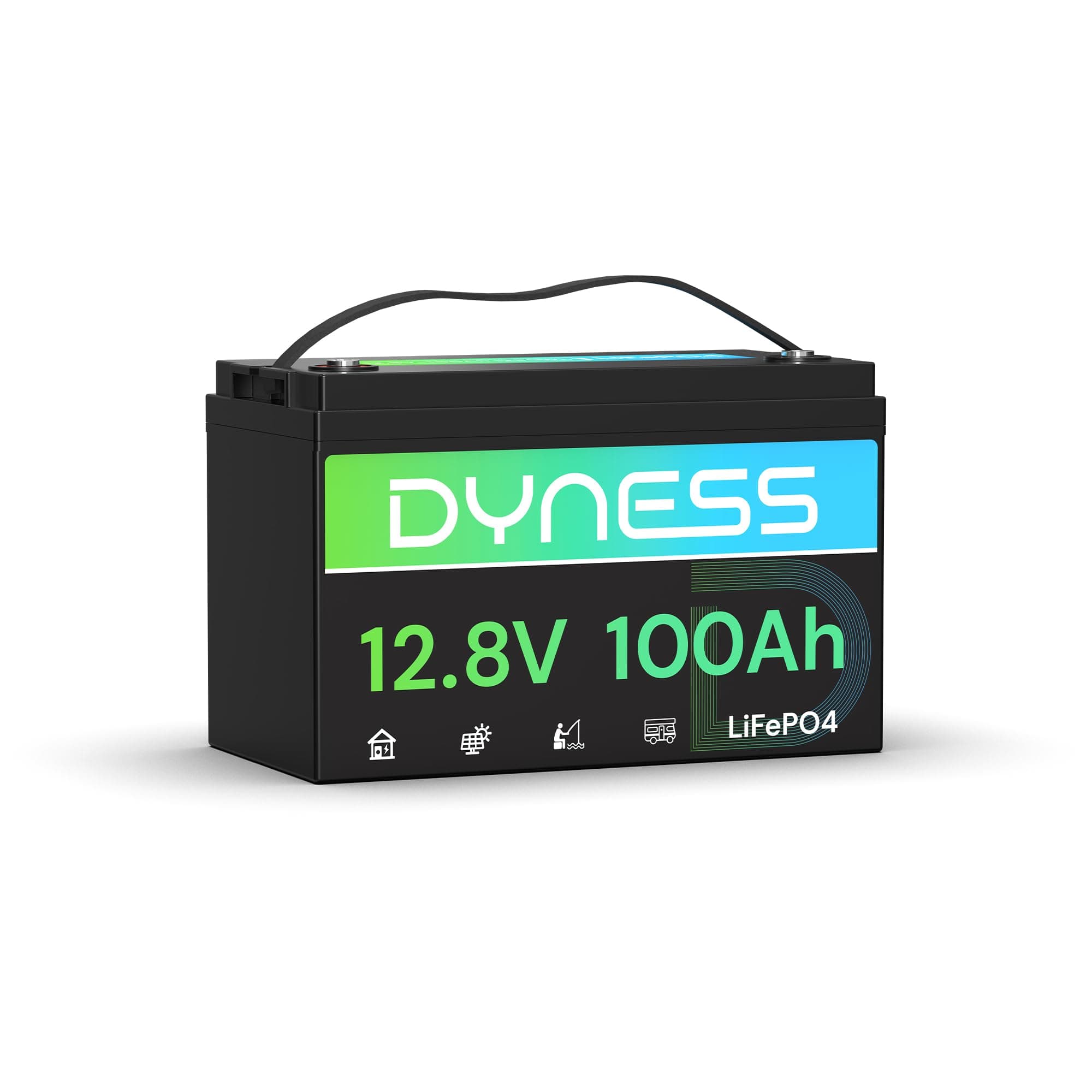 Dyness Batteria Litio 12V 100Ah LiFePO4 a Ciclo profondo con 100A BMS, Protezione Dalle Basse Temperature, Max. 15000 cicli, per Camper, Impianti Solari off-grid, Fotovoltaico Accumulo