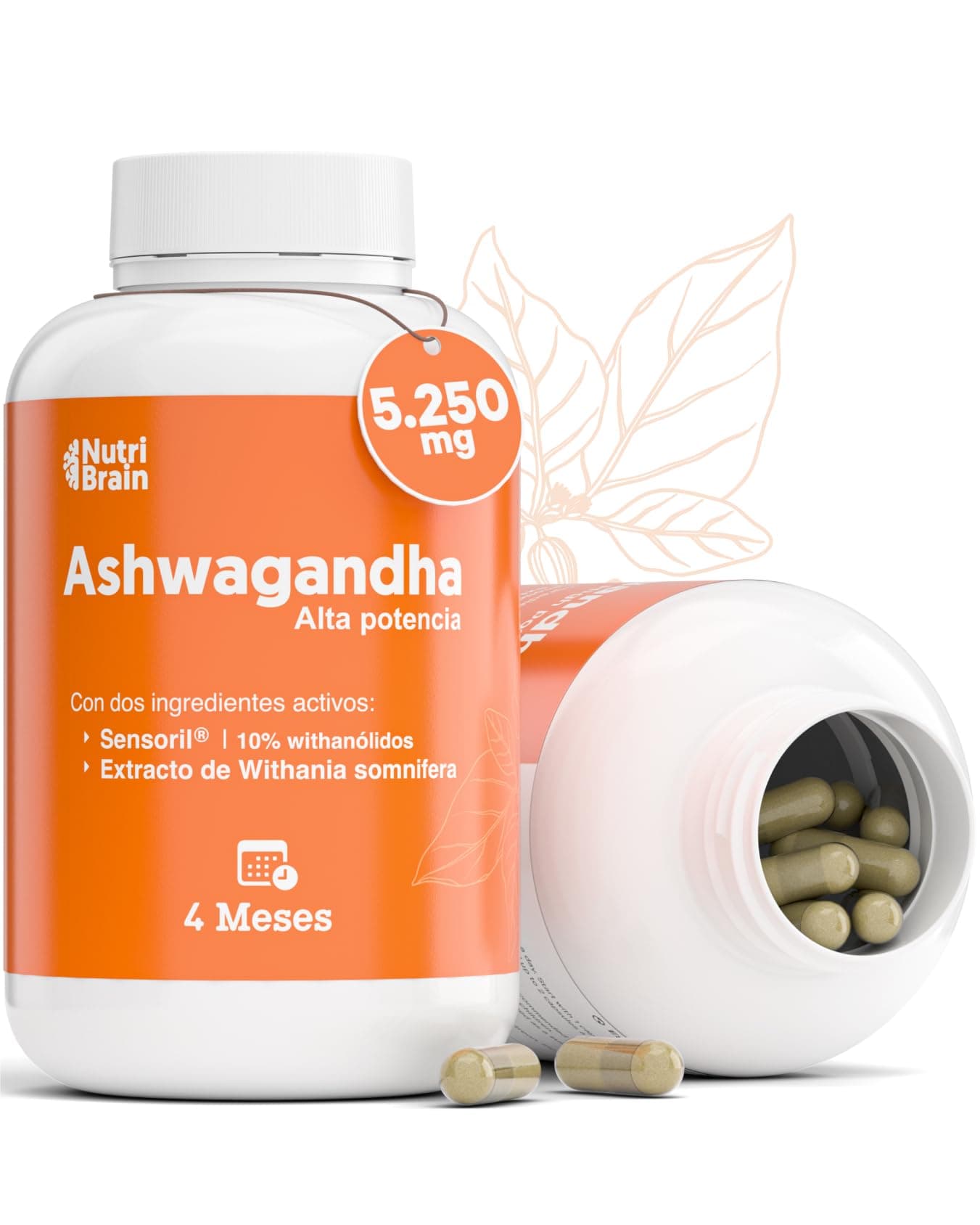 Ashwagandha Alta Potencia: Adaptógeno con Sensoril® (10% Withanólidos) | Sueño Profundo, Estrés, Bienestar, Energía, Concentración | 120 cápsulas | 4 Meses | 2x Más Concentrado que Ashwagandha KSM-66