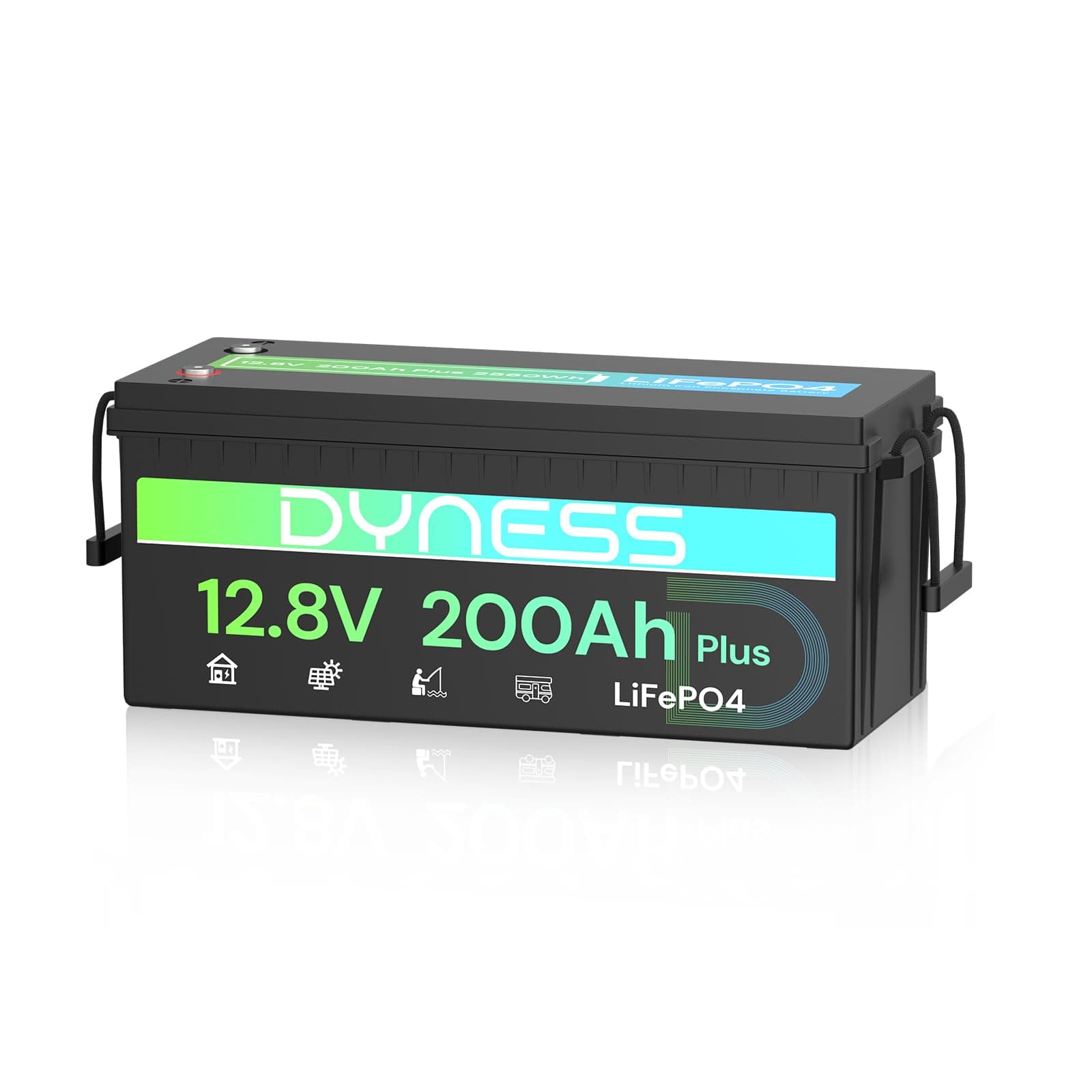Dyness LiFePO4 Batería de Litio 12V 200Ah con BMS de 200A y Protección contra Bajas Temperaturas, 2560Wh para Ciclo Profundo en Marina/RV, Ideal para Solar, Overland/Furgonetas y Fuera de la Red