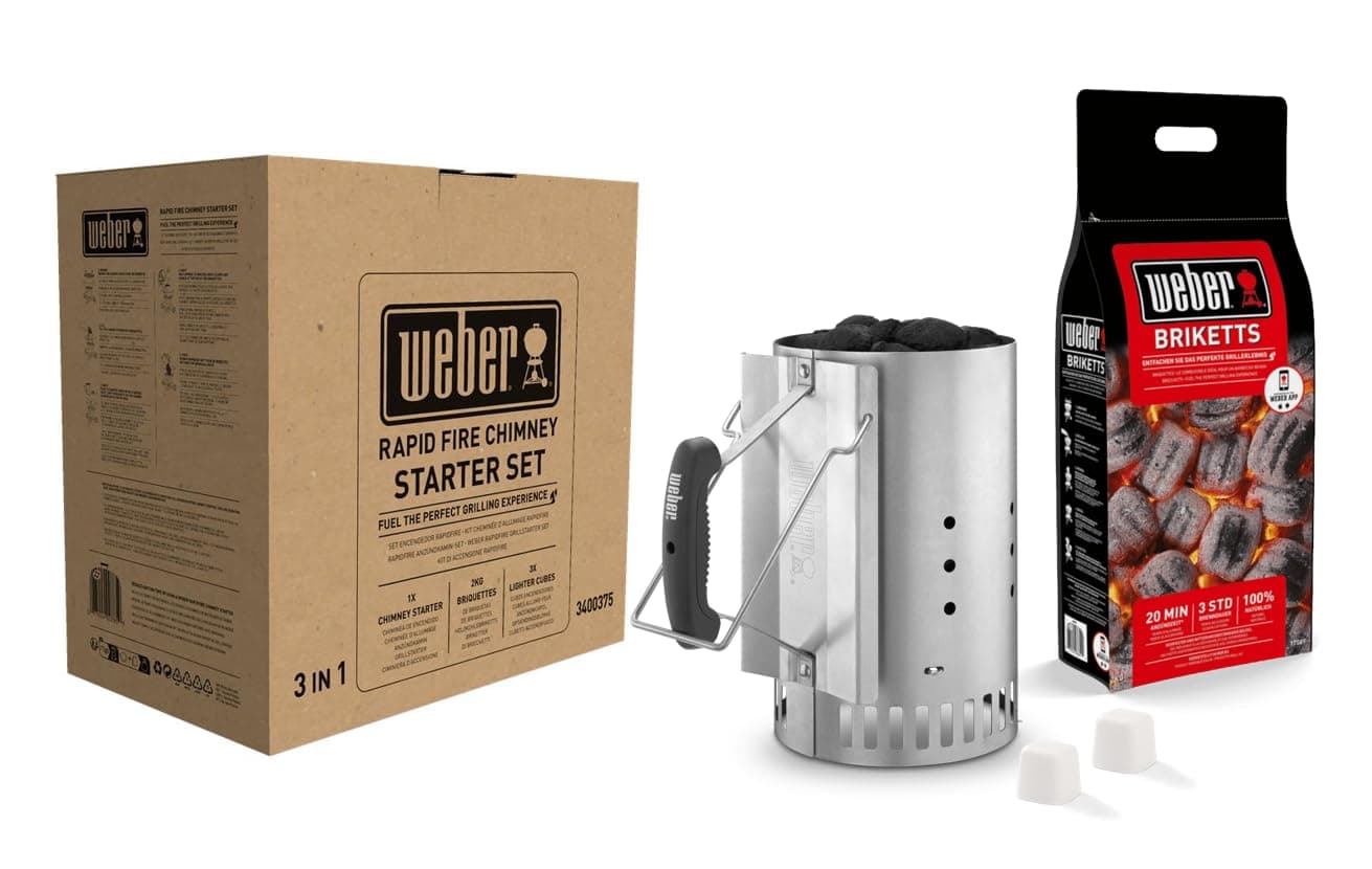 Weber 17631 - Set Chimenea 2 kg de Briquetas + 6 Pastillas de Encendido Blancas, Acero Inoxidable