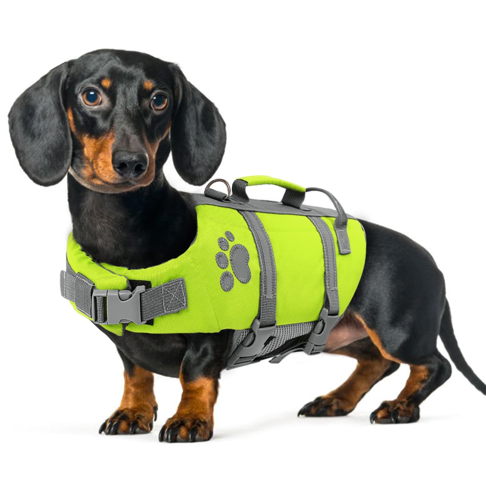 Queenmore Salvagente Cane Taglia Piccola, Leggero, Regolabile, Riflettente, Per Cani Piccoli, Nuotare, Kayak, Paddleboarding (S, Verde)