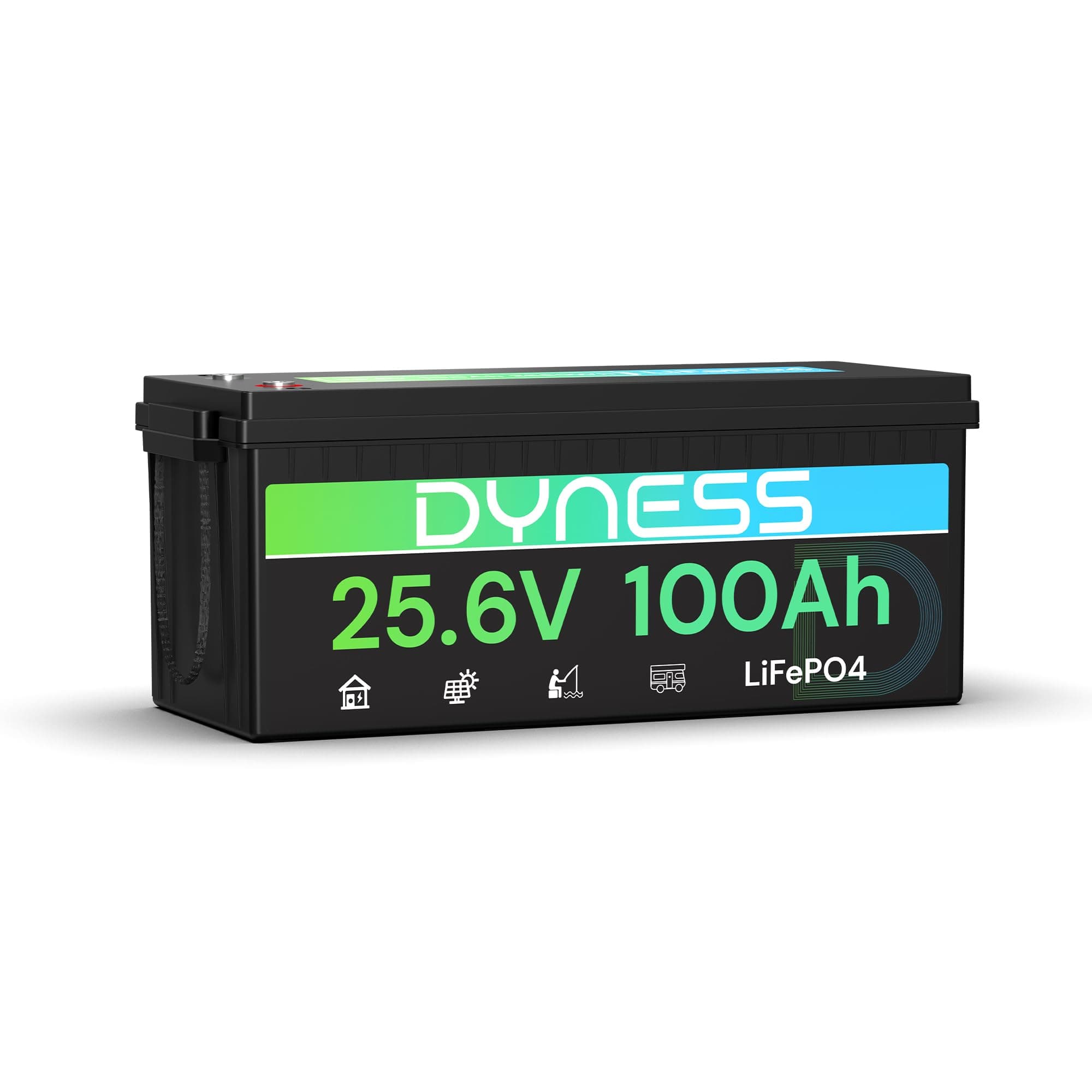 Dyness Batería Litio 24V 100Ah LiFePO4 con BMS 100A y Protección contra Bajas Temperatura, 24V Bateria LiFePO4 para Camper, Solar, Autocaravanas (RV), Barcos de Pesca de Róbalo