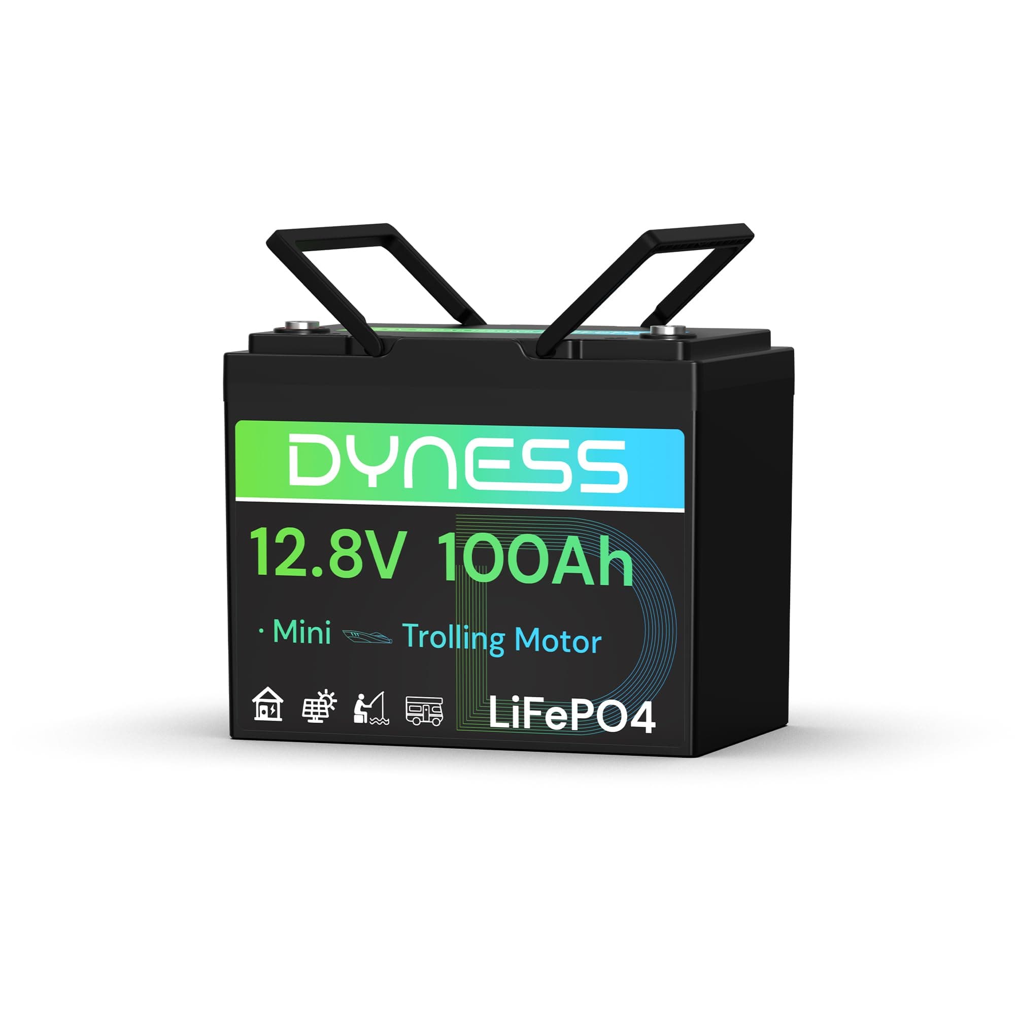 Dyness Batería de Litio 12V 100Ah, Batería LiFePO4 12V para Kayak con BMS 100A, Protección contra Bajas Temperaturas, para Sistemas Solares, Barcos, Caravanas, Camping