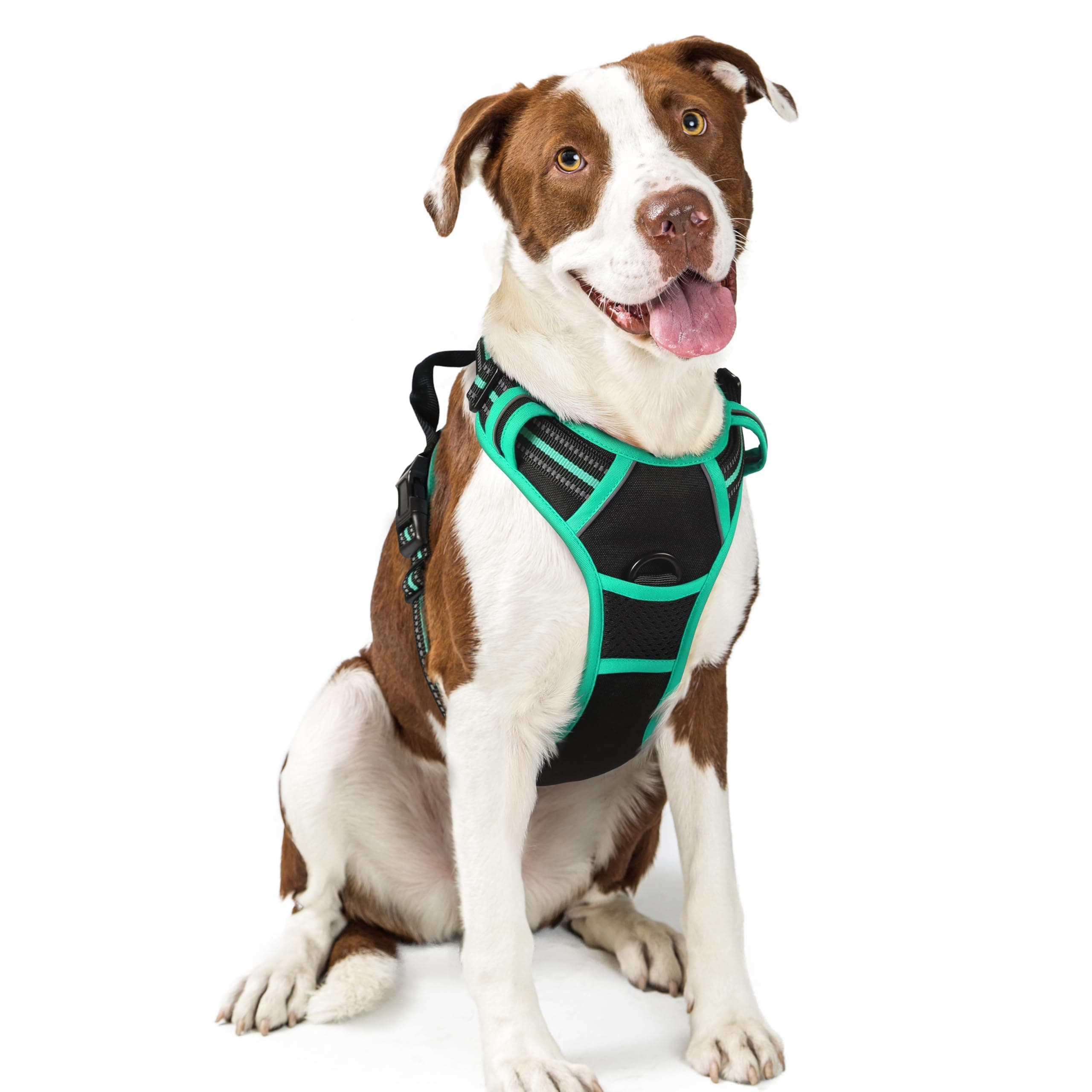rabbitgoo Arnes Perro Grande, Arnes Perro Antitirones Coche con Lineas Reflecantes, Chaleco Perro Acolchado Ajustable Transpirable con Asa y Anillos para Adiesreamiento Tamaño L, Negro y Menta Verde