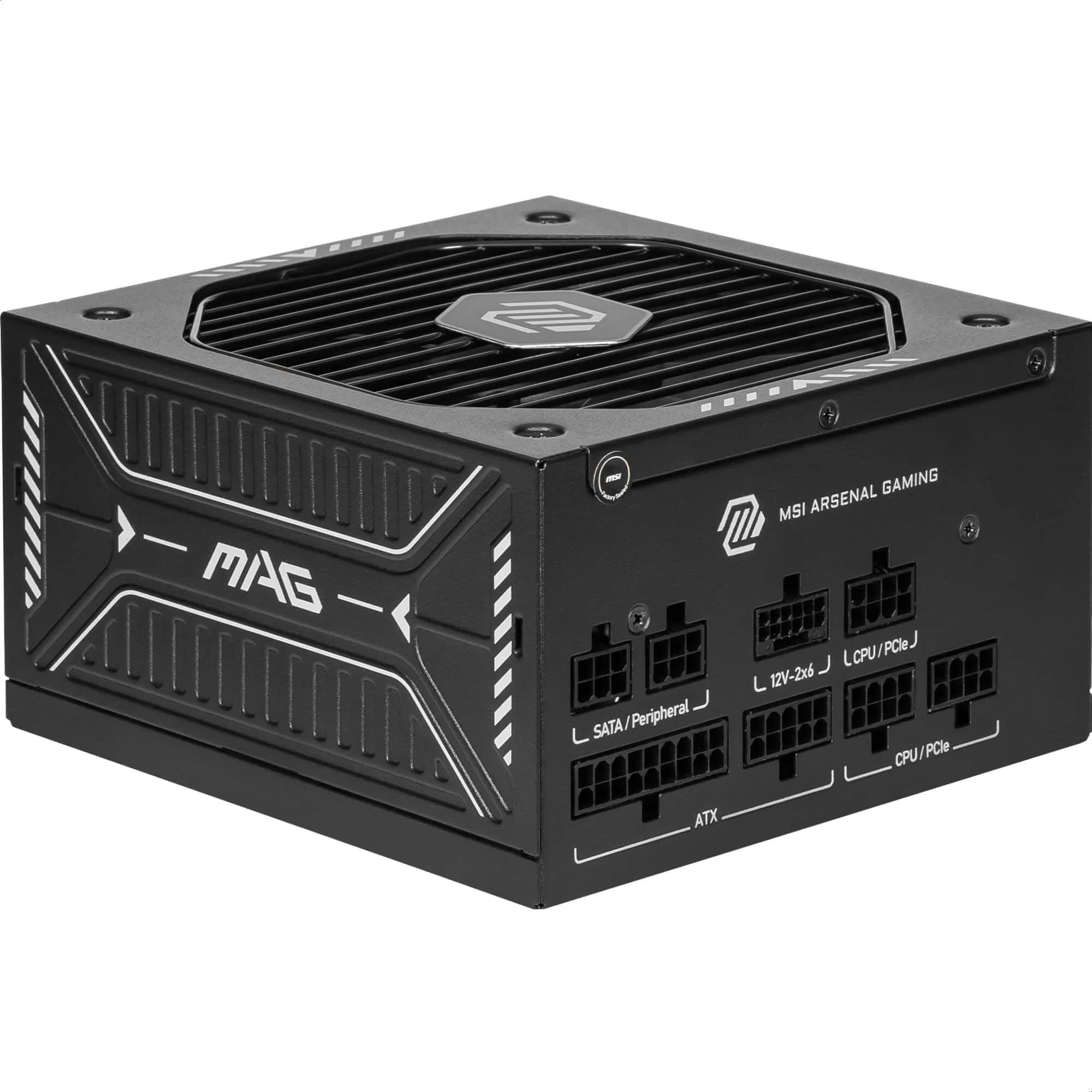 MSI MAG A750GLS PCIE5 Alimentation PC silencieuse, 750W, ATX, 80 Plus Gold, ATX 3.1, Compatible PCIe 5.1, Câbles gaufrés, Connecteur natif 12V-2x6 Bicolore