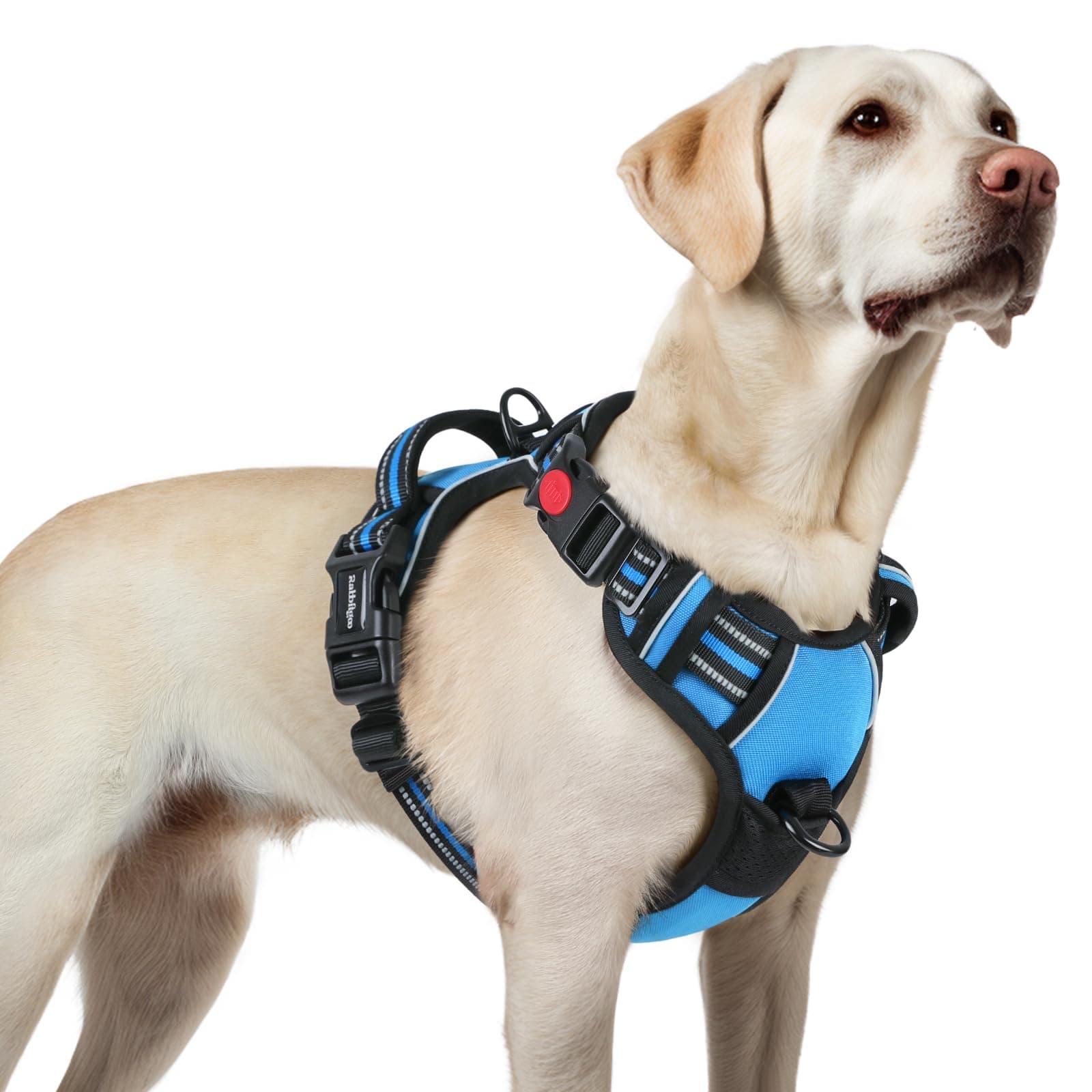 rabbitgoo Arnes Perro Mediano con 3 Hebillas, Liberacion del Cuello, Arnes Perro Ajustable con Asa y Clip Frontal, Arnés Antitirones para Perros Reflectante para Adiestramiento Correr, Azul Ligero, L