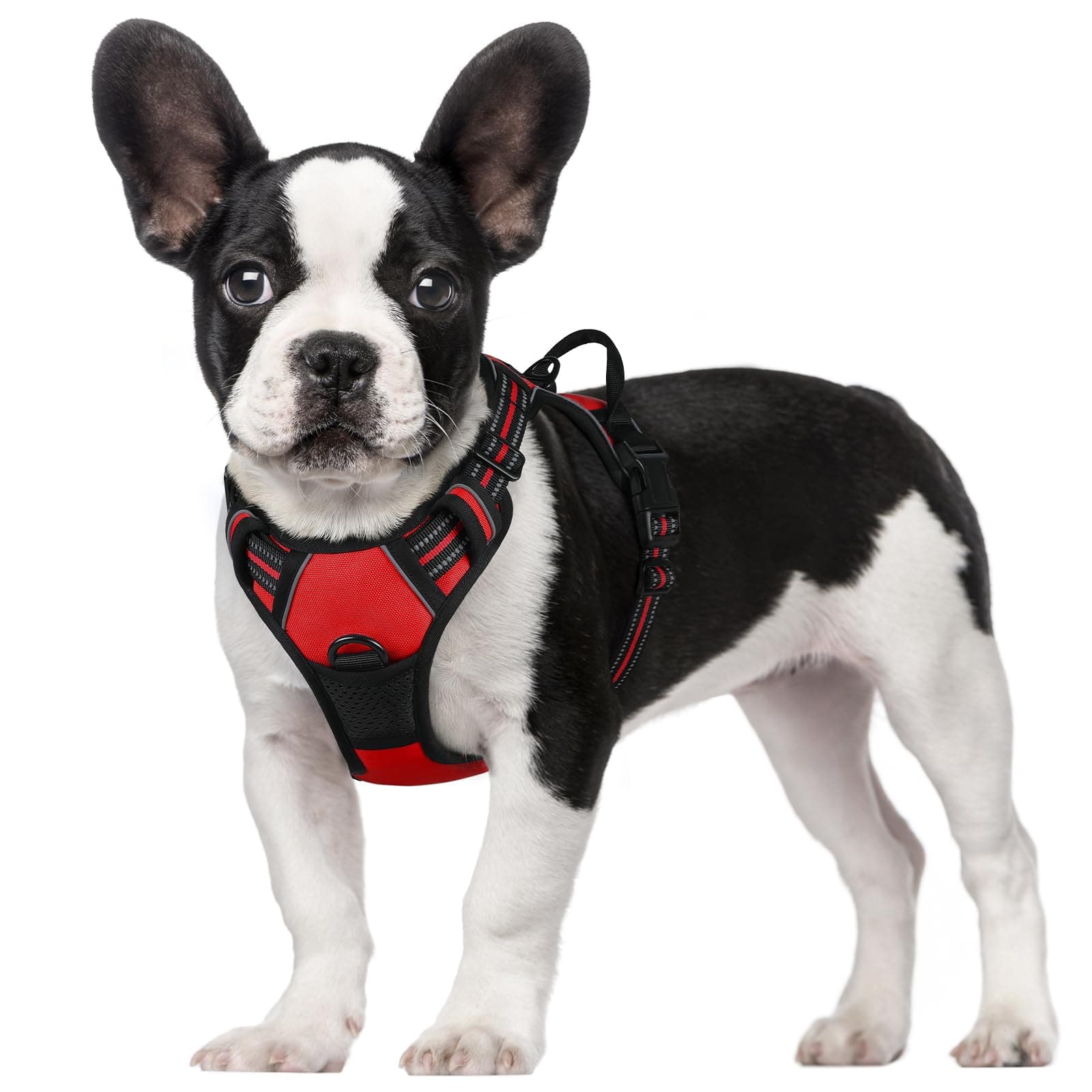 rabbitgoo Arnes Perro Pequeño, Arnes Perro Antitirones Coche con Lineas Reflecantes, Chaleco Acolchado Ajustable Transpirable con Asa y Anillos para Adiesreamiento Correr Tamaño S Color Rojo