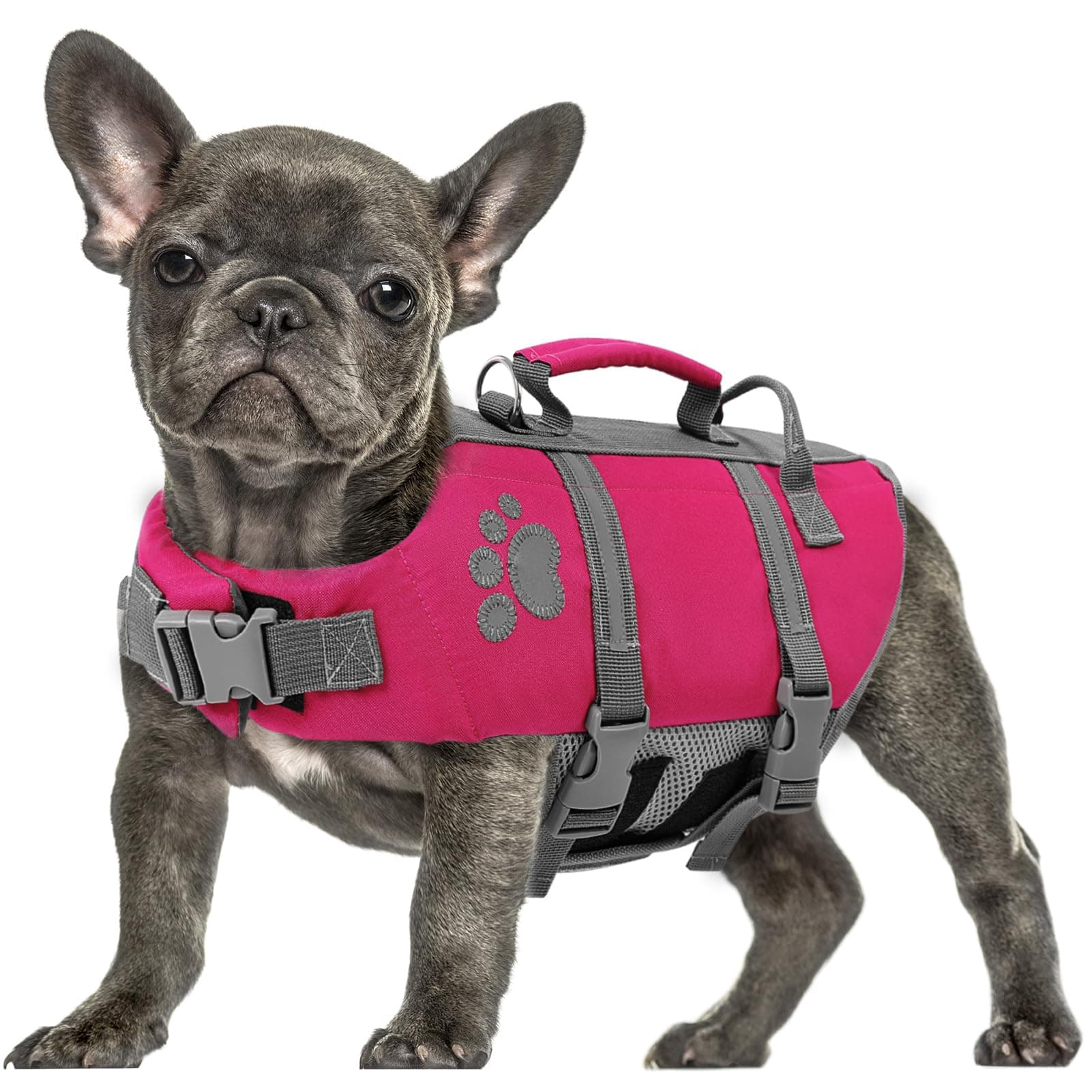 Queenmore Salvagente Cane Taglia XL, Leggero, Regolabile, Riflettente, Per Cani Grandi, Nuotare, Kayak, Paddleboarding (XL, Fucsia)