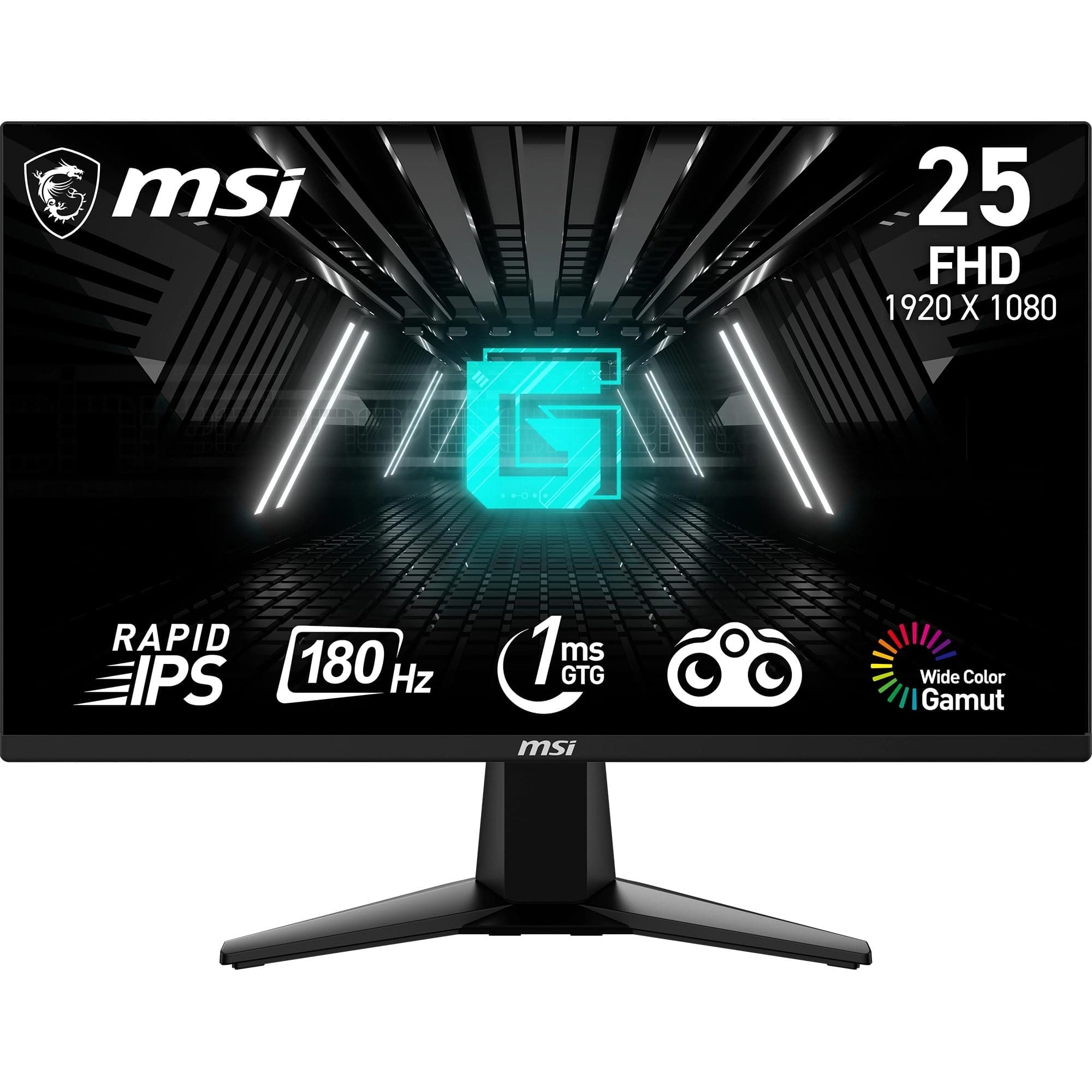 MSI G255F Écran Gaming FHD 24,5 Pouces - Dalle Rapid IPS 1920 x 1080, 180 Hz / 1ms (GtG), Gamme de Couleurs sRGB 99%, Adaptive-Sync - DP 1.2a, HDMI 2.0b CEC