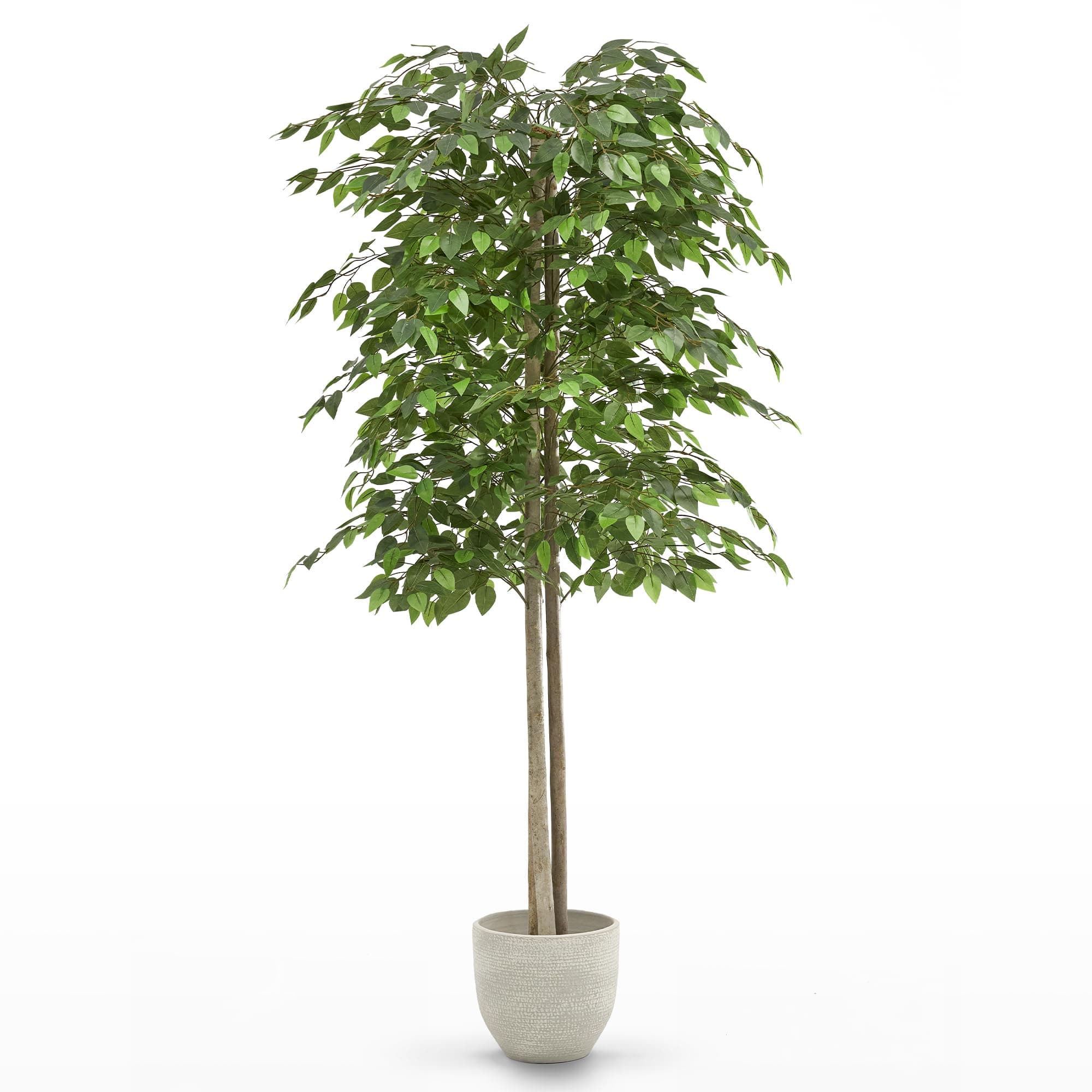 MAIA SHOP Ficus Artificial 180 cm con Tronco Natural, Planta Artificial Grande Realista para Decoración de Interiores en Hogar, Oficina, Hotel o Eventos