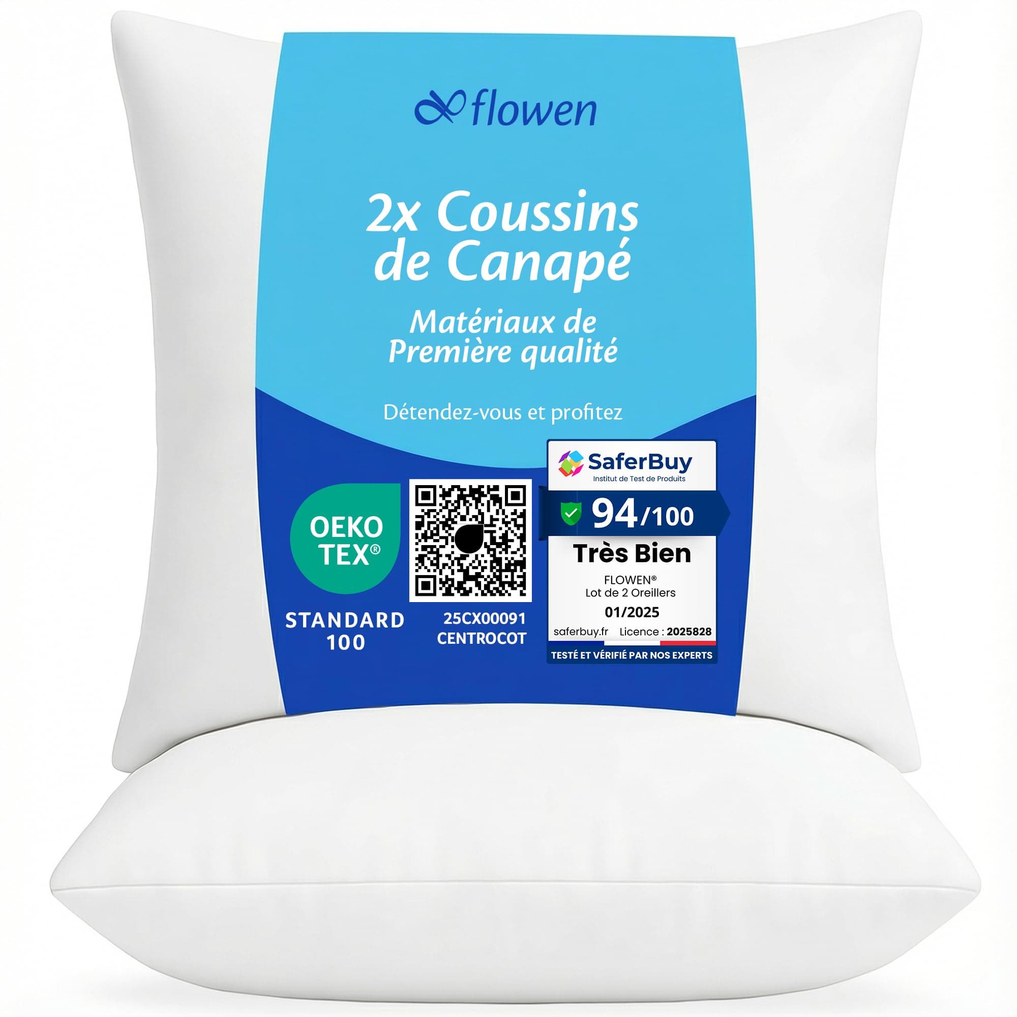 Flowen Coussin Canape 40x40 Lot de 2 Oreillers Decoratif Accessoires pour Sofa Decoration Aesthetic pour Salon et Exterieur Antiallergiques et Anti-Acariens avec Taie d'oreiller en Polyester