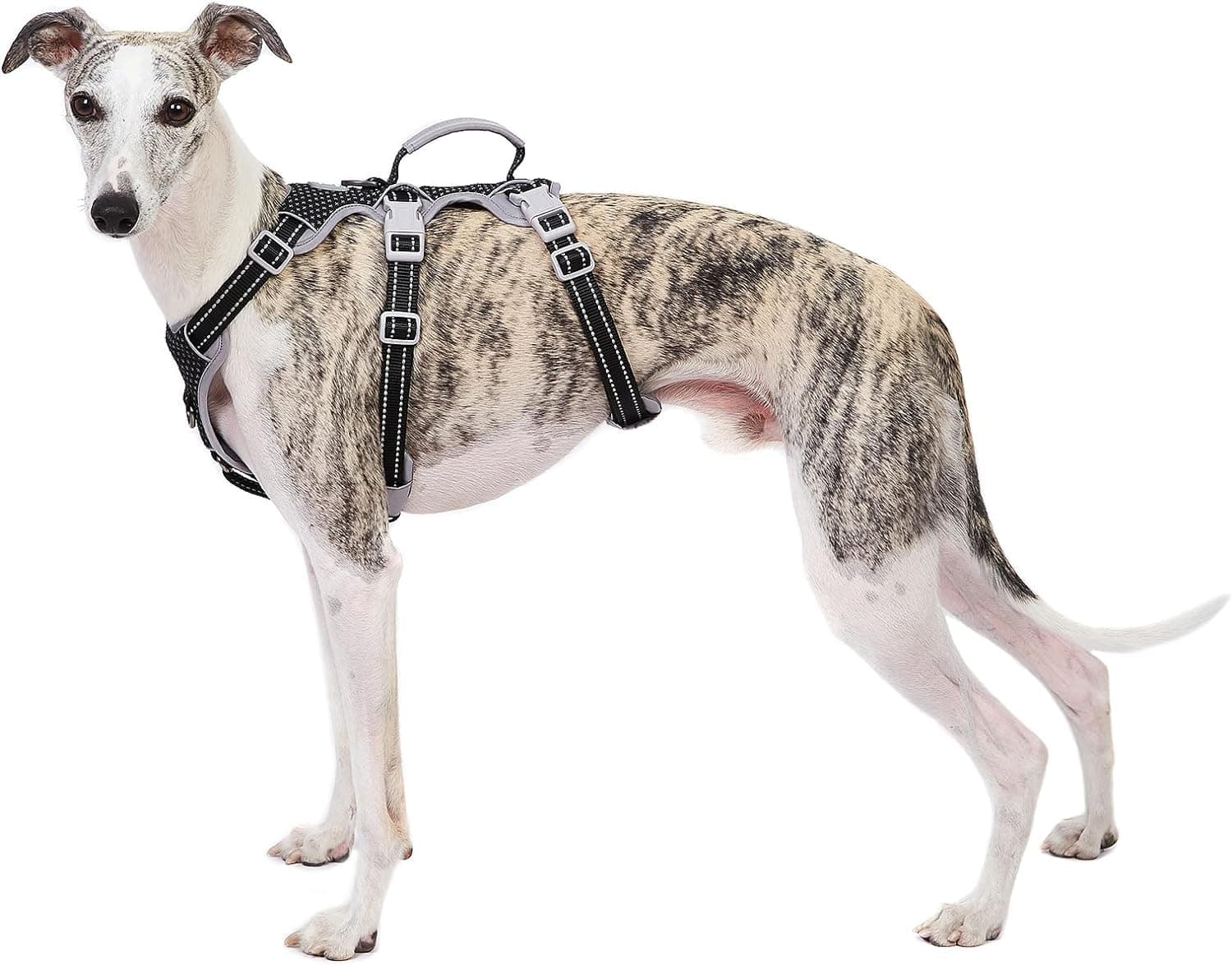 Huntboo Arnés para Perros a Prueba de Escapes, arnés Seguro para Perros sin Escapes, arnés Totalmente Reflectante con asa, Transpirable, Chaleco Ajustable para Perros pequeños Que pasean y corren