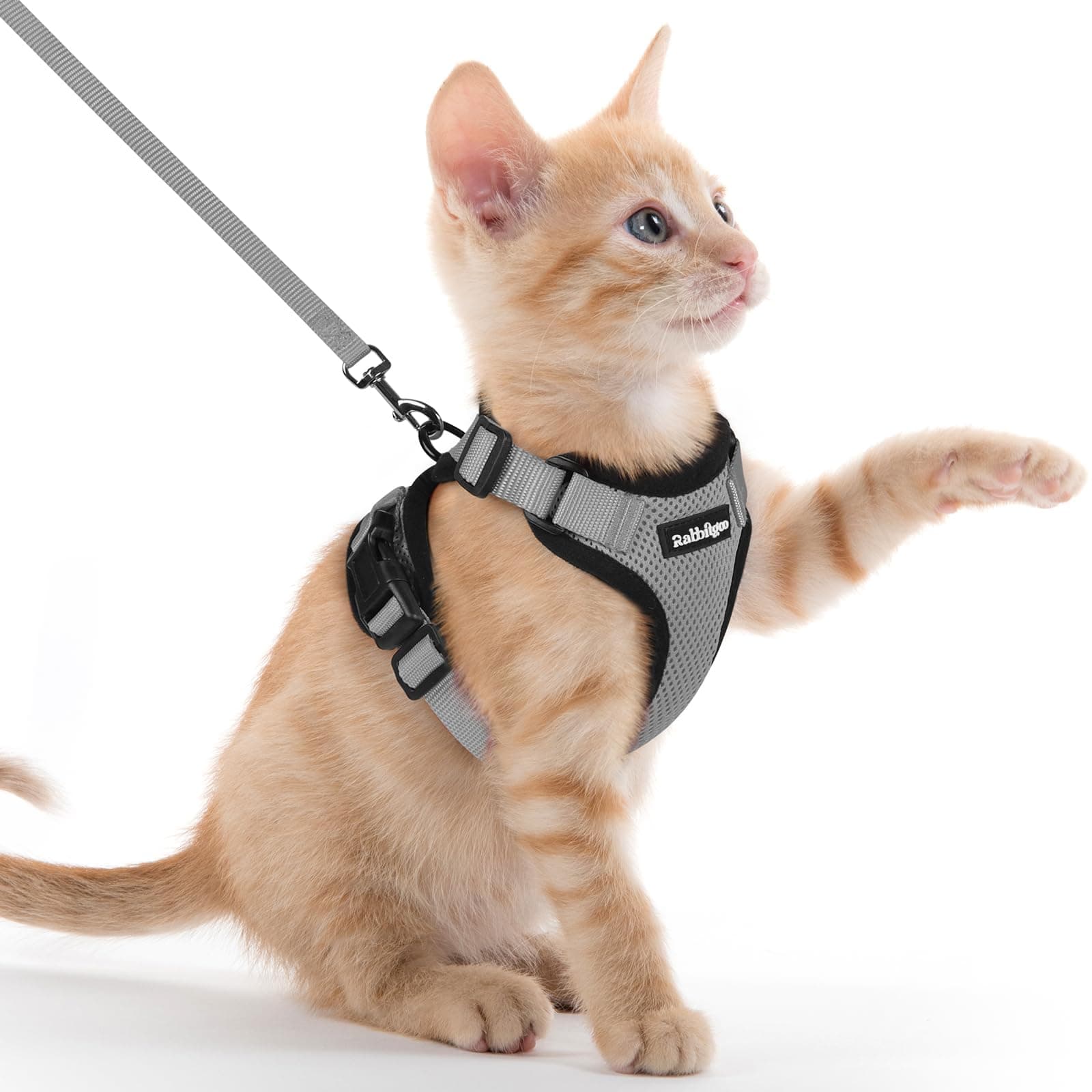rabbitgoo Arnes para Gatos Antiescape con Correa 150cm, Arnes Gato Ajustable Reflectante, Chaleco de Tela de Malla Suave y Transpirable, Arnés Gato Pequeño para Caminar Entrenar, XXS, Gris