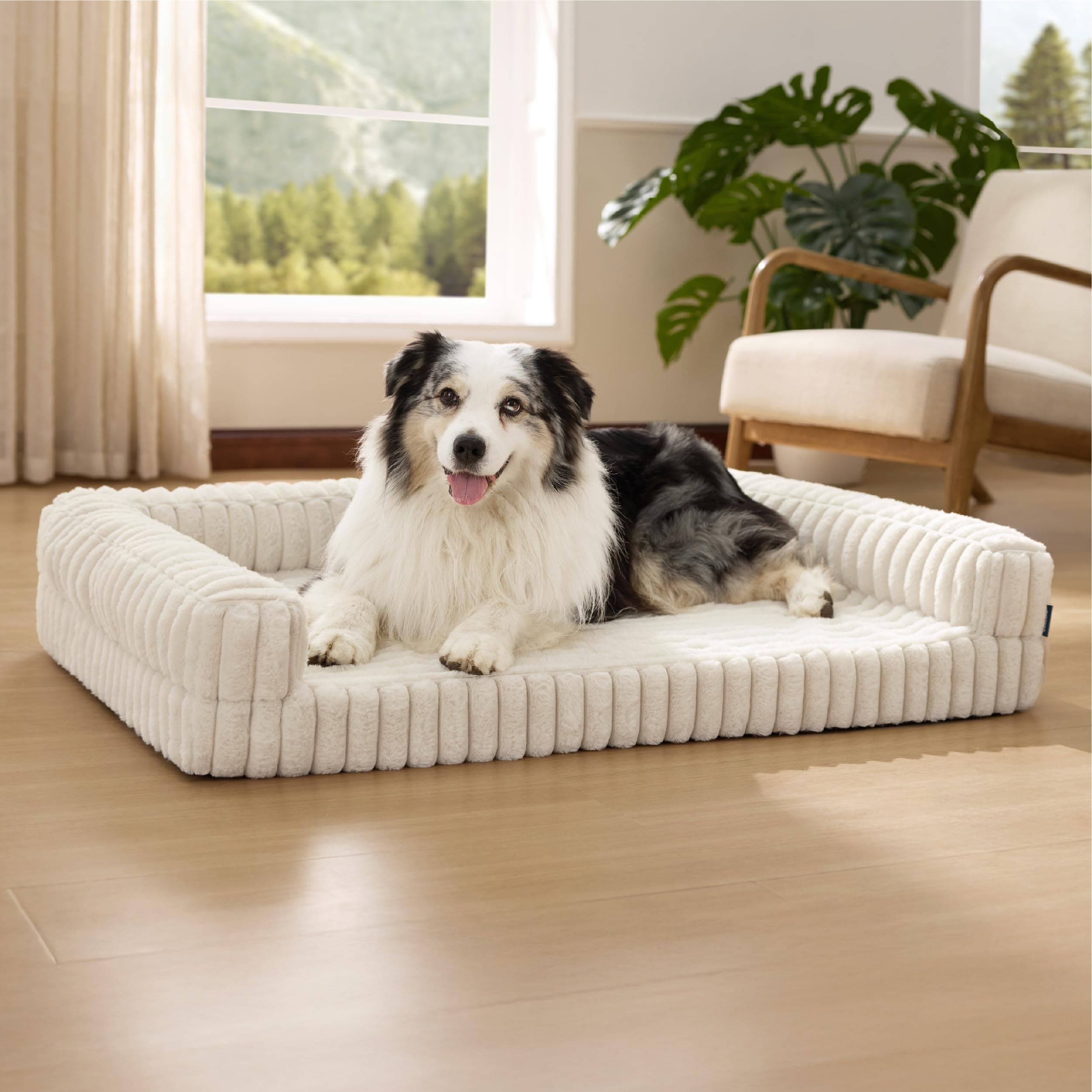 BEDSURE orthopädisches Hundebett Grosse Hunde - 106x76x18cm wasserdichtes Hundesofa mit Memory-Schaum & Eierkarton-Schaum, waschbarer und Abnehmbarer Cordbezug Hundecouch, Creme