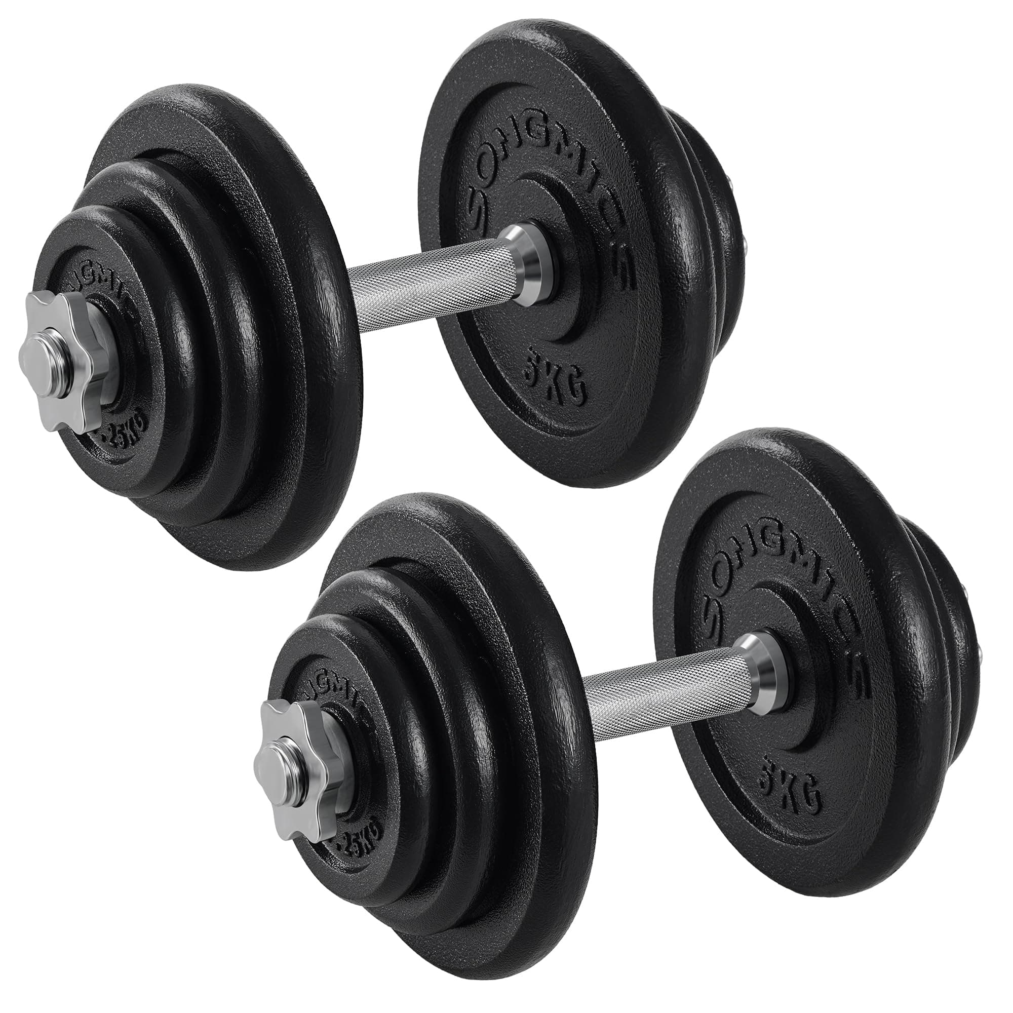 SONGMICS Hanteln, Hantelset aus Gusseisen, verstellbar, für Männer und Frauen, Workout, Fitnesstraining, Gewichtheben für Zuhause, Fitnessstudio