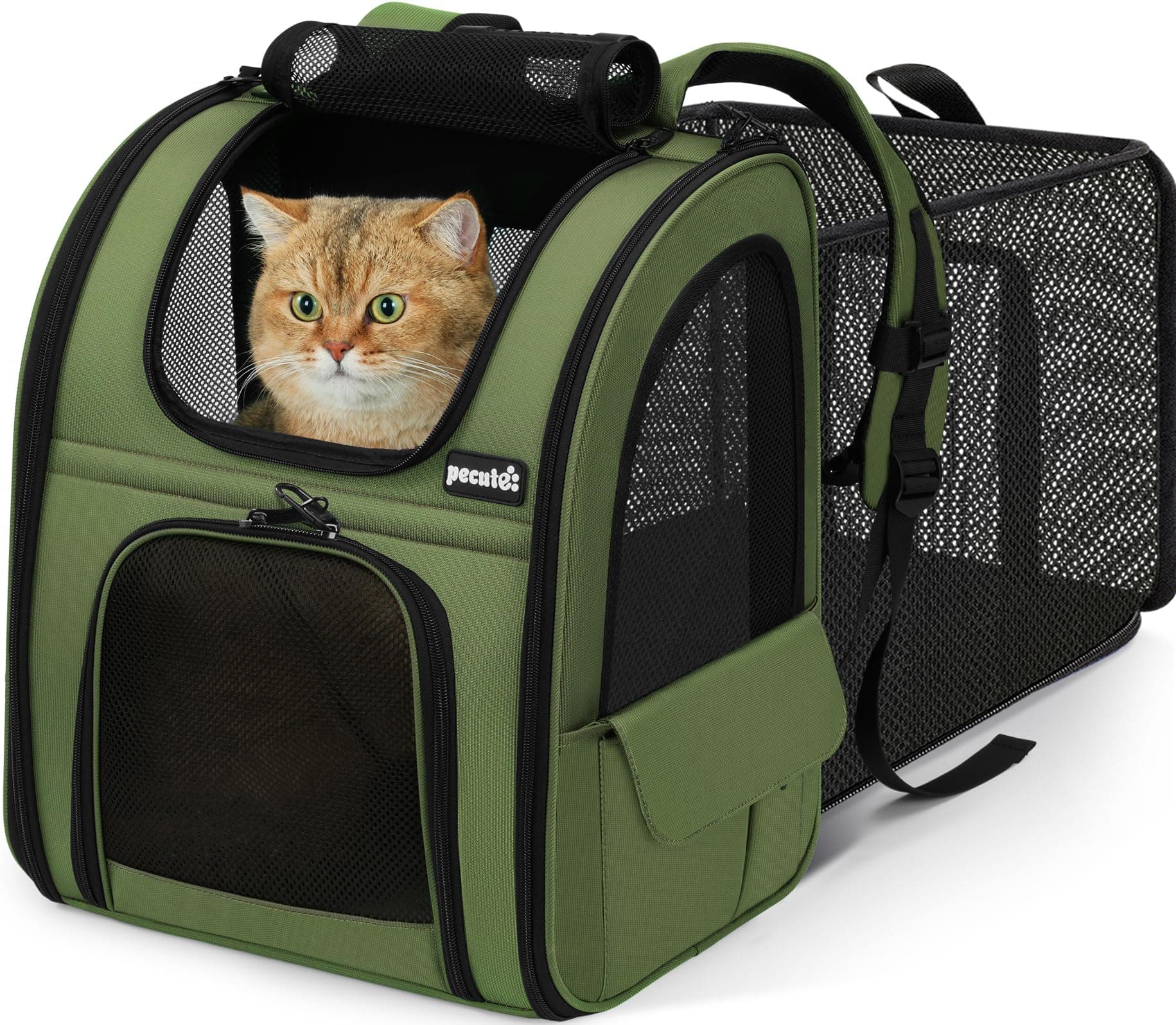 Pecute Transportin Gato Mochilas para Gatos y Perro Bolsa para Mascotas Expandible y Plegable, Carga Máxima 6 kg, para Viajar en Tren/automóvil/Restaurante/avión, (Verde, Ventana de Malla)