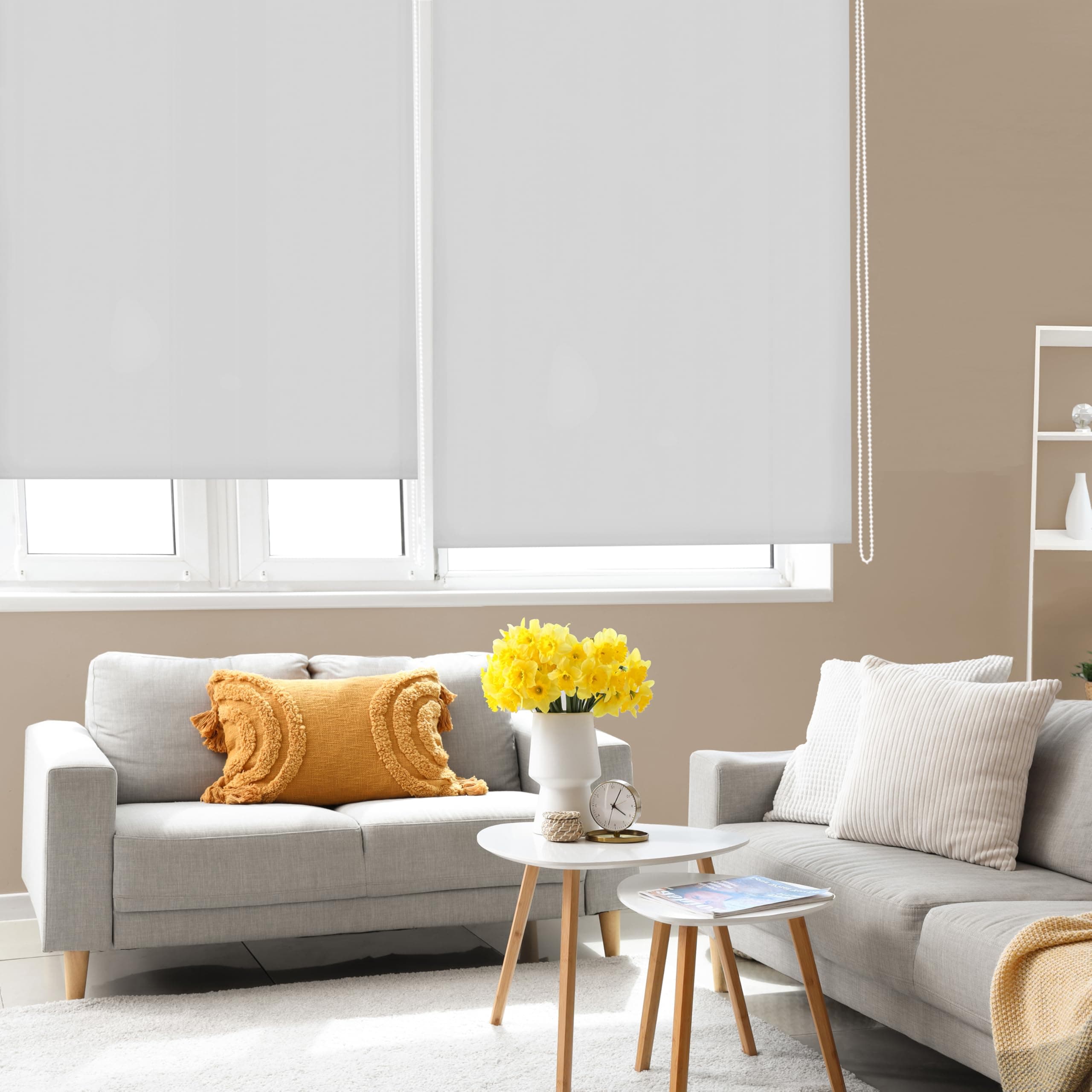 Blindecor Ara | Estor enrollable translúcido liso - Gris plata, 180 x 250 cm (ancho por alto) | Tamaño de la Tela 177 x 245 cm | Estores para ventanas