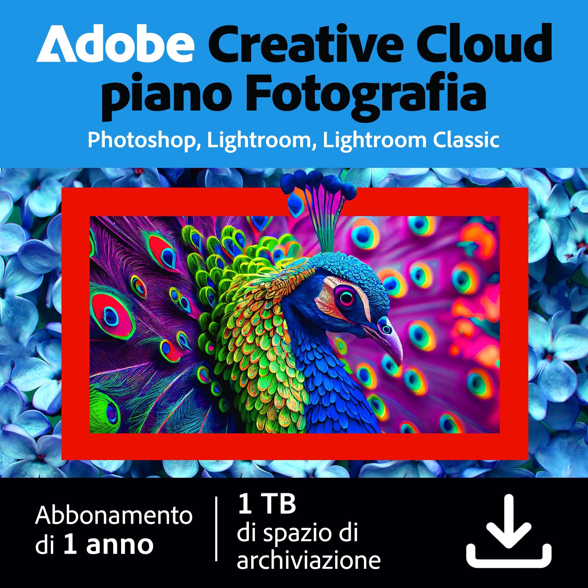 Creative Cloud Photography plan | Standard 1TB | 1 Anno | PC/Mac |Download Digitale
