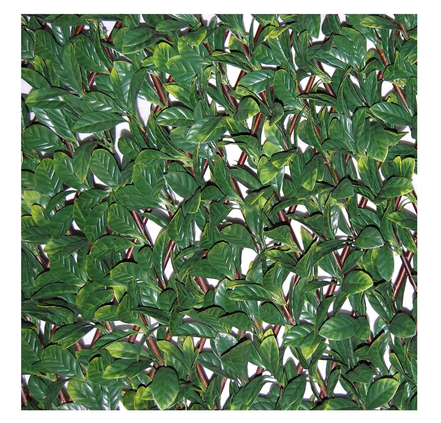 Tenax Haie Synthétique sur Treillis Extensible Divy Vert 200 x 4 x 100 cm 1A150277