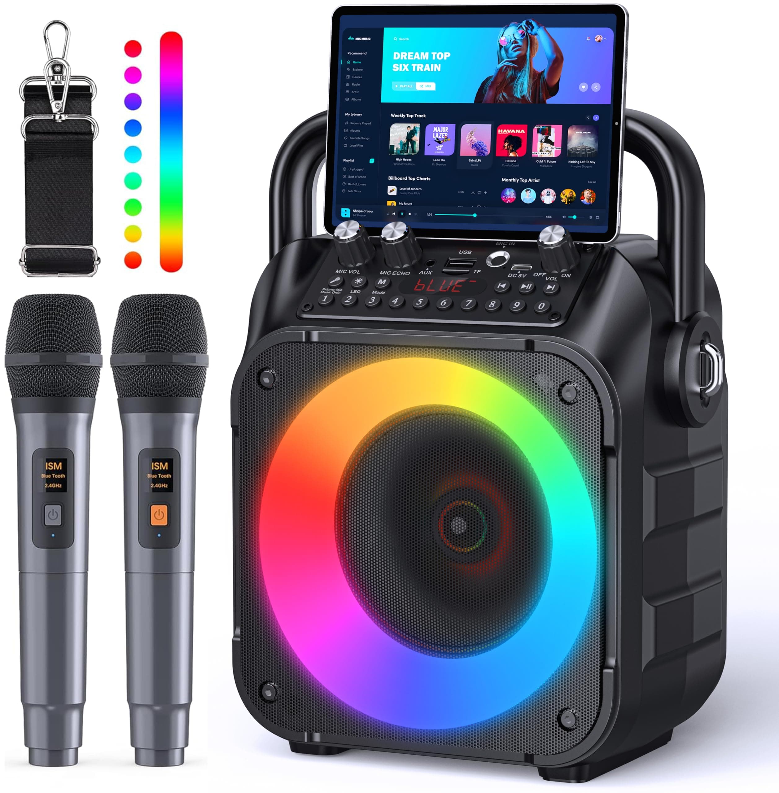 Karaoke Adulte, Haut-Parleur Bluetooth Portable Karaoke pour Adultes avec 2 Microphones sans Fil, Système PA pour Adultes et Enfants avec Lumières LED pour Les Fêtes (Noir)