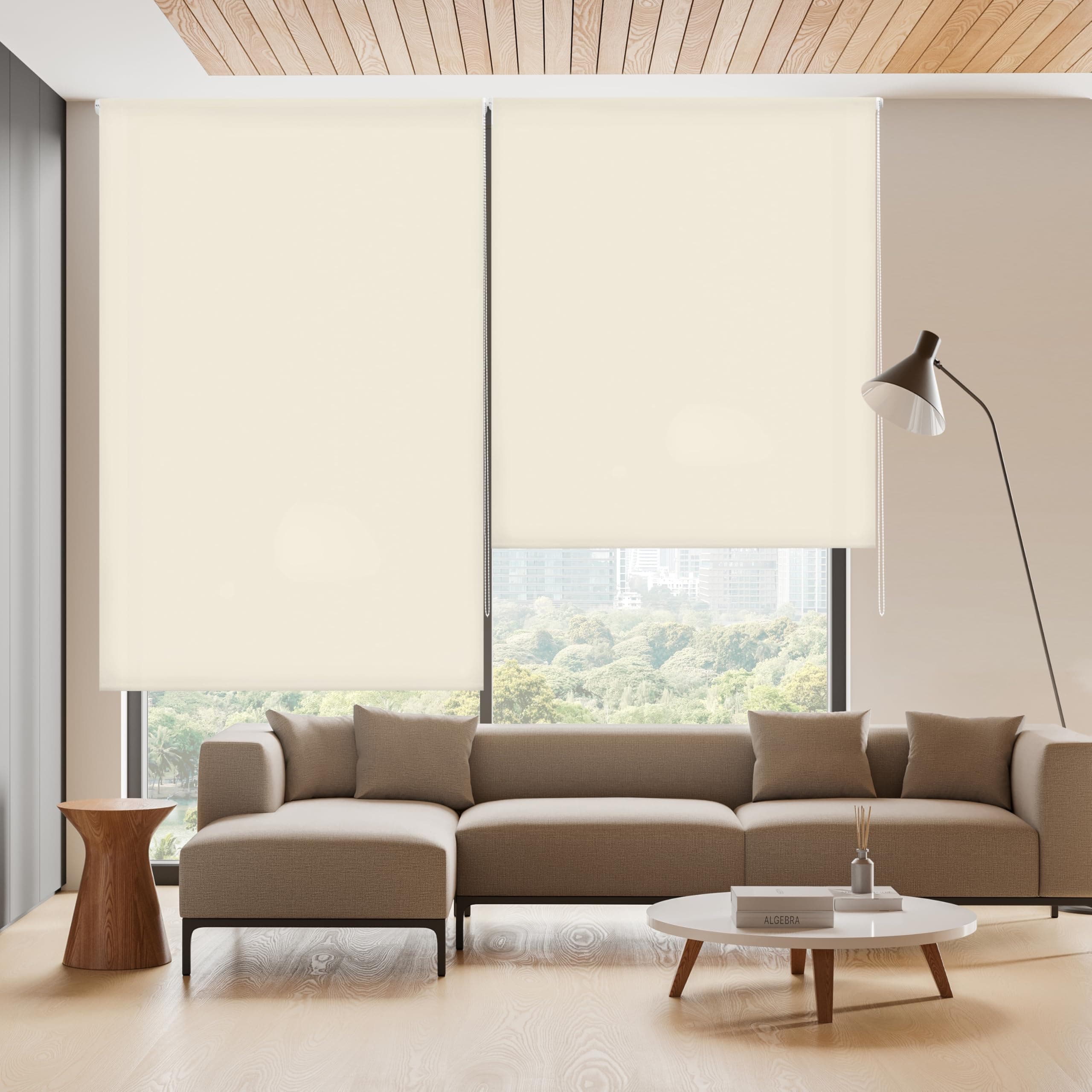Blindecor Ara | Estor enrollable translúcido liso - Beige, 160 x 250 cm (ancho por alto) | Tamaño de la Tela 157 x 245 cm | Estores para ventanas
