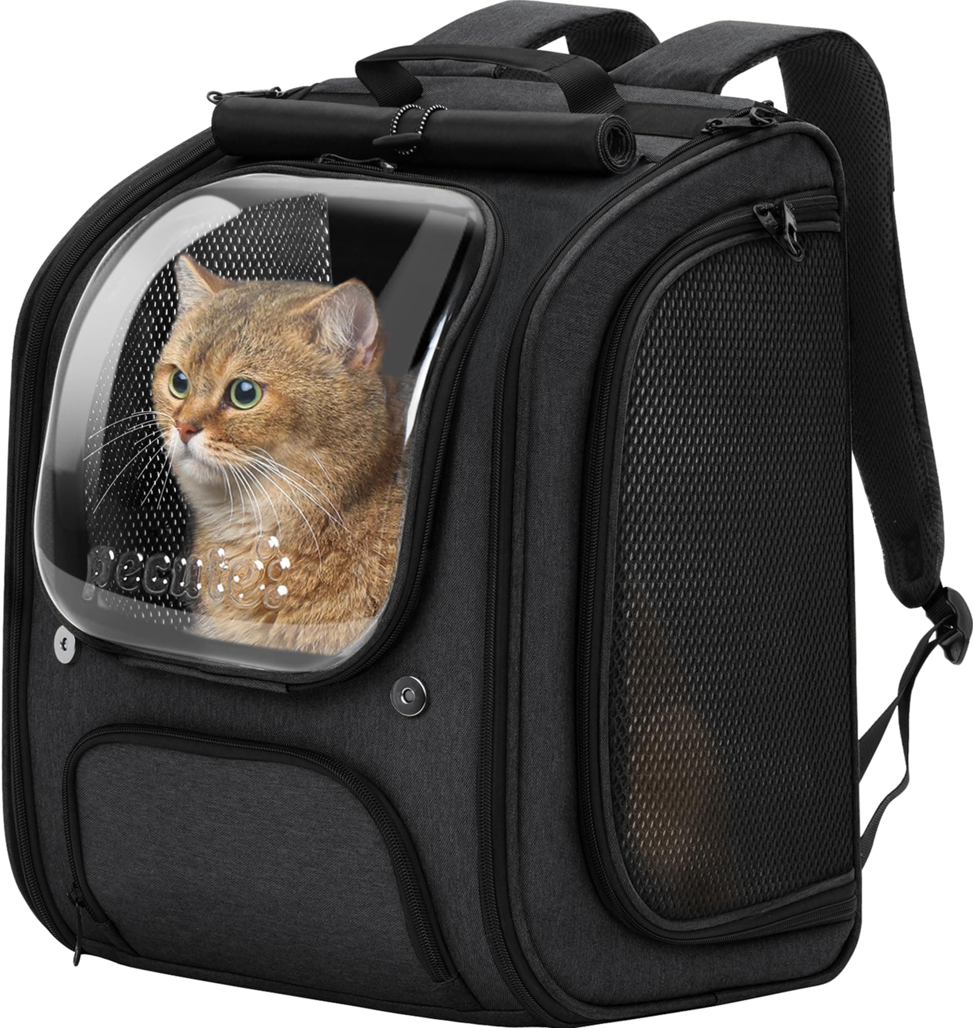 Pecute Mochila Transportadora para Gatos con Burbuja - Espacio Amplio y Estable, Visera Transpirable, Ideal para Viajes, Senderismo, Escalada, visitas al Veterinario con Mascotas, Negro