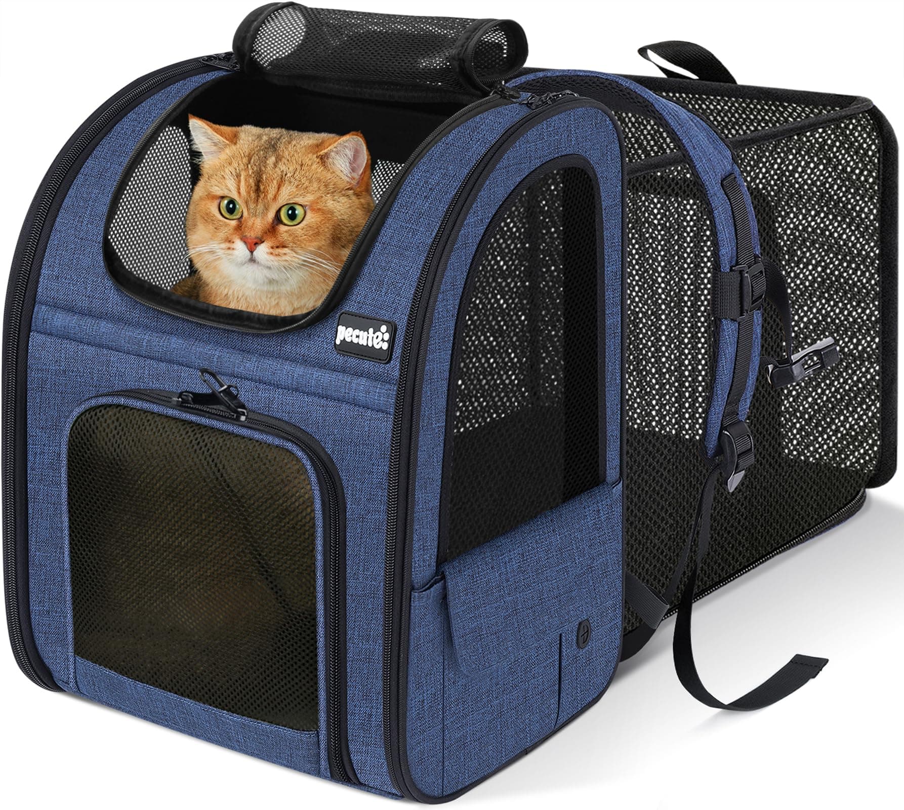 Pecute Mochila Gato＜6kg Mochilas para Gatos y Perro Transportin Gato Expandible y Plegable para Viajar en Tren/automóvil/Restaurante, Azul (Ventana de Malla)