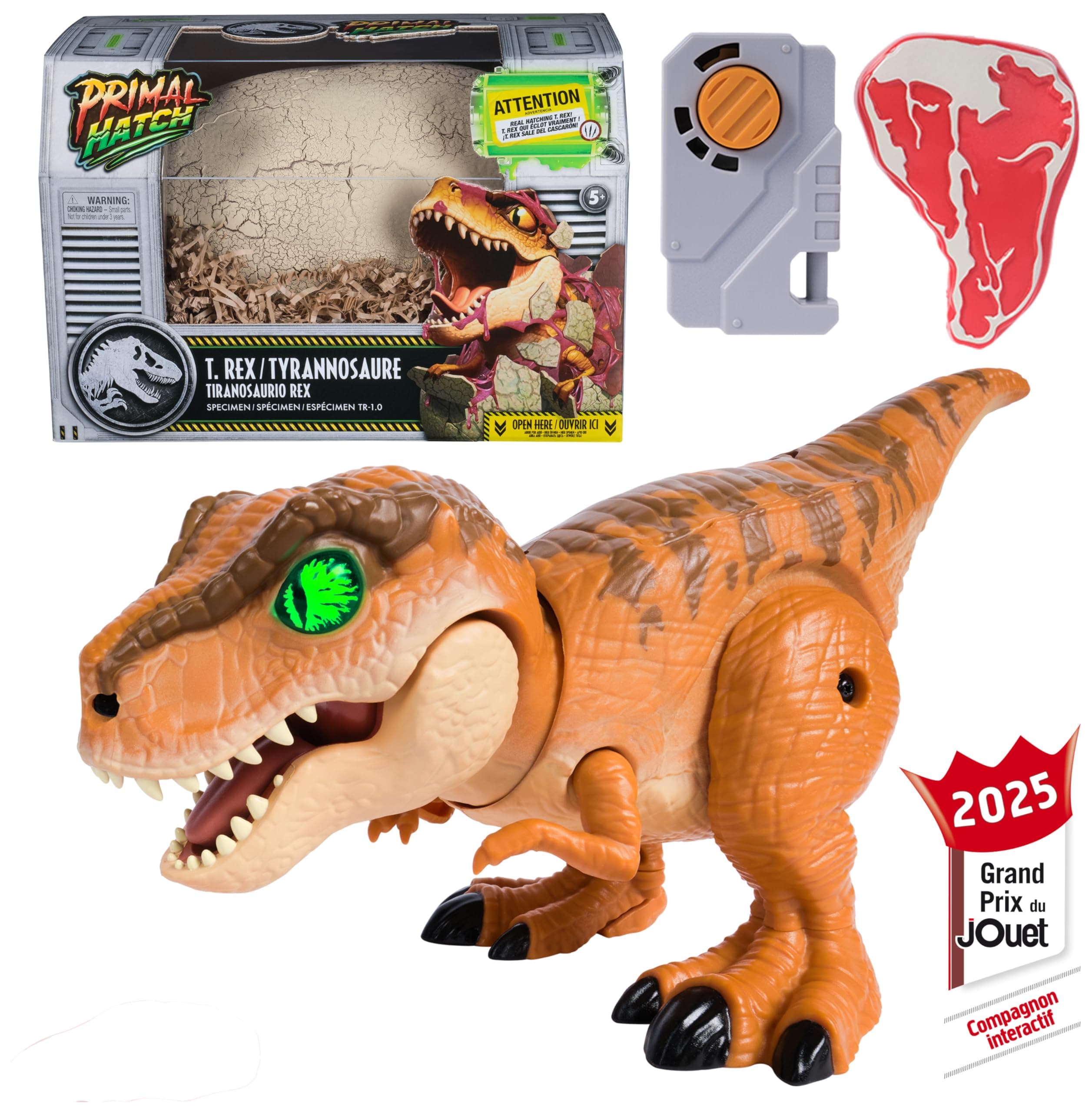 Primal Hatch Jurassic World Dino Eclosion Secrète - Oeuf De Dinosaure À Faire Éclore - Apprivoisez Et Interagissez avec Lui - 2 Accessoires Inclus - 100 Sons & Réactions - Jouet Enfant 5 Ans Et +