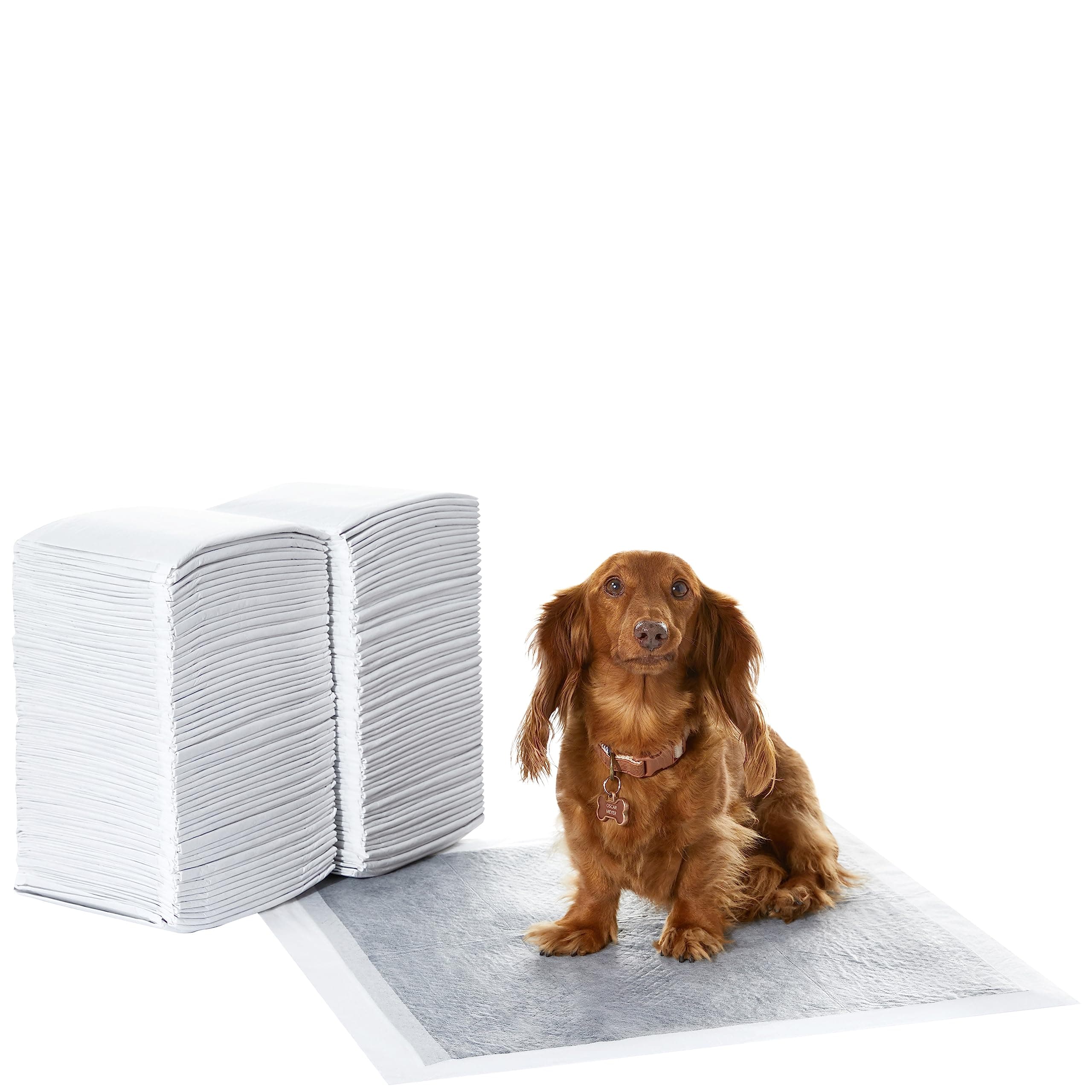 Amazon Basics Almohadillas de adiestramiento de perros y cachorros, carbón para control de olor, a prueba de fugas con superficie de secado rápido, regular, 120 unidades, Gris