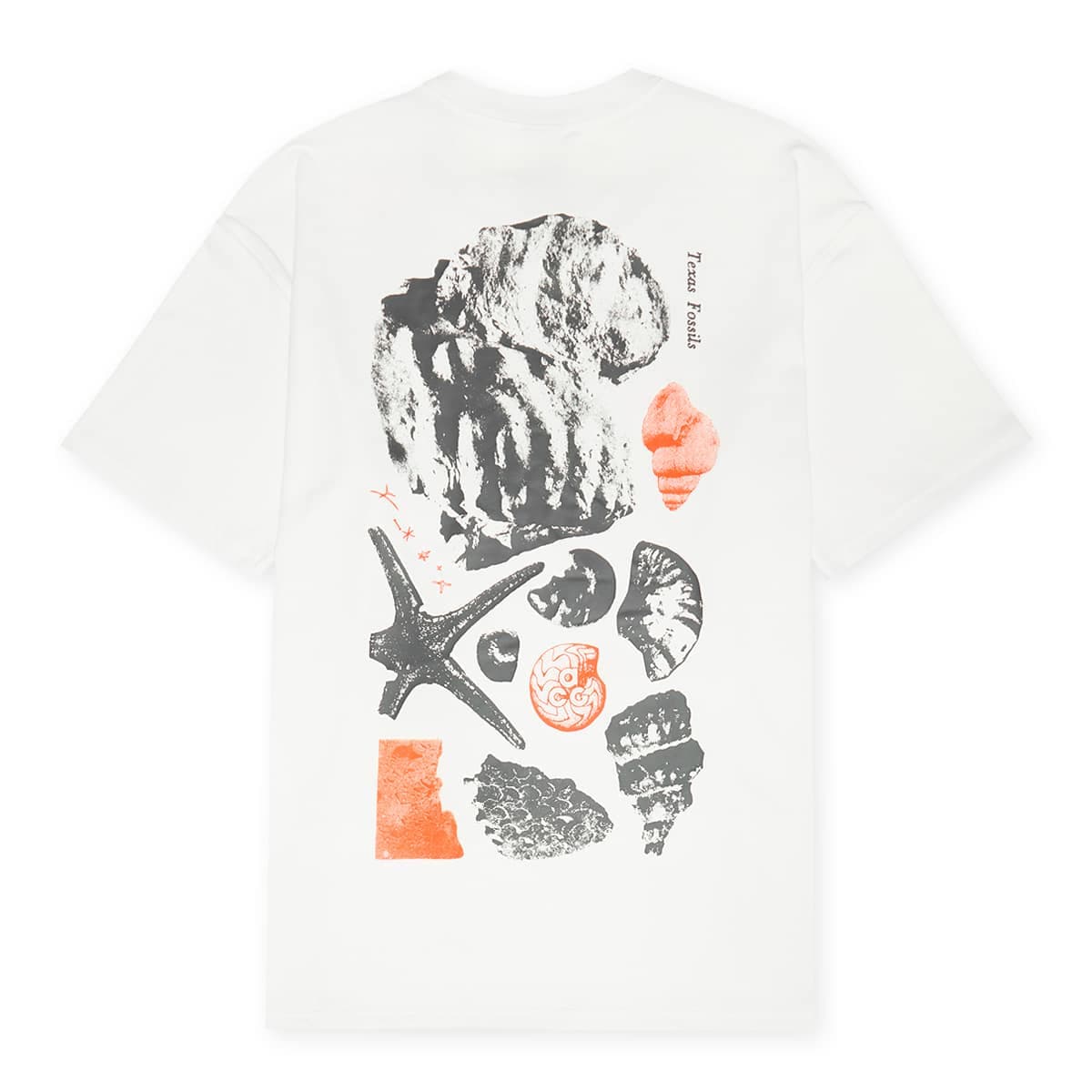 Acg Tee Oc Fossils summit white