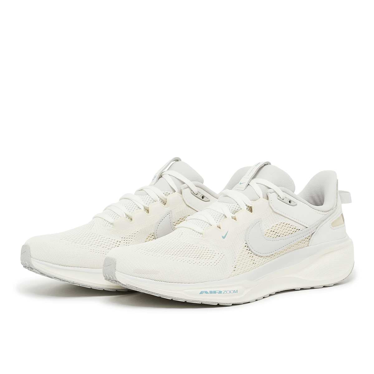 Air Zoom Pegasus 41 SP