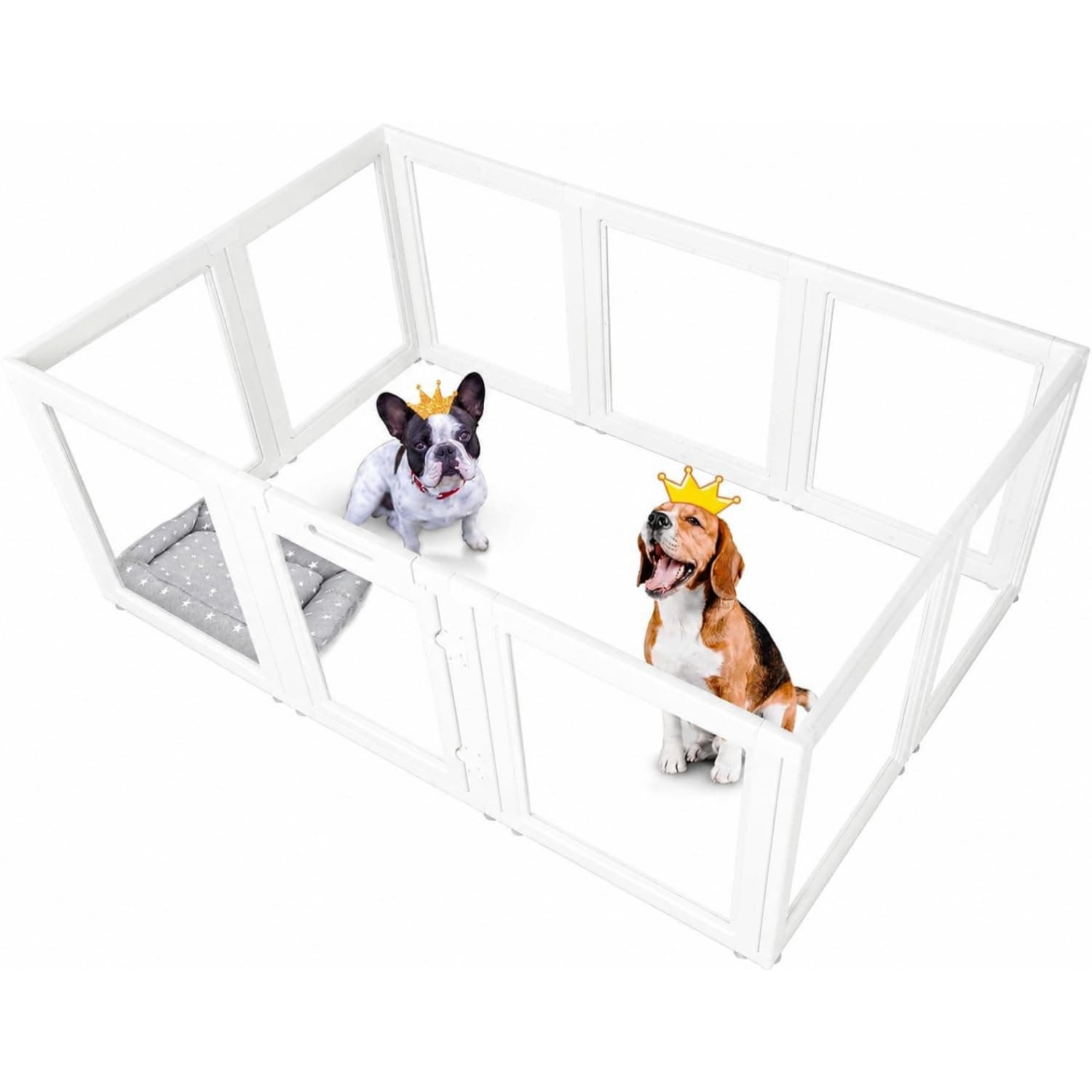 Everfront Enclos d'intérieur en Acrylique Transparent pour Chiot, Chat, Lapin, Furet, Facile à Assembler, idéal pour Les Petits Chiens (77 cm de Hauteur, 10 pièces)