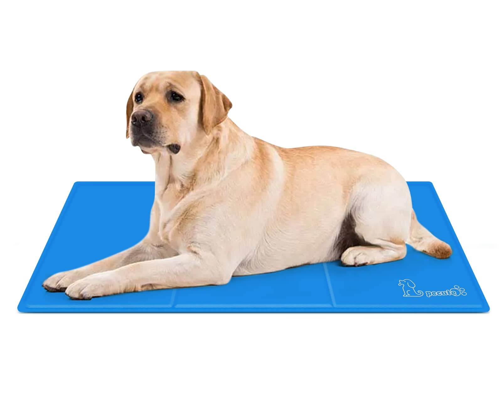 Pecute Tappetino Raffreddamento Cane Gatto 90x50cm - Gel Non tossico - Sistema di Auto Raffreddamento - Perfetto per Cani e Gatti in Estate, L, Blu