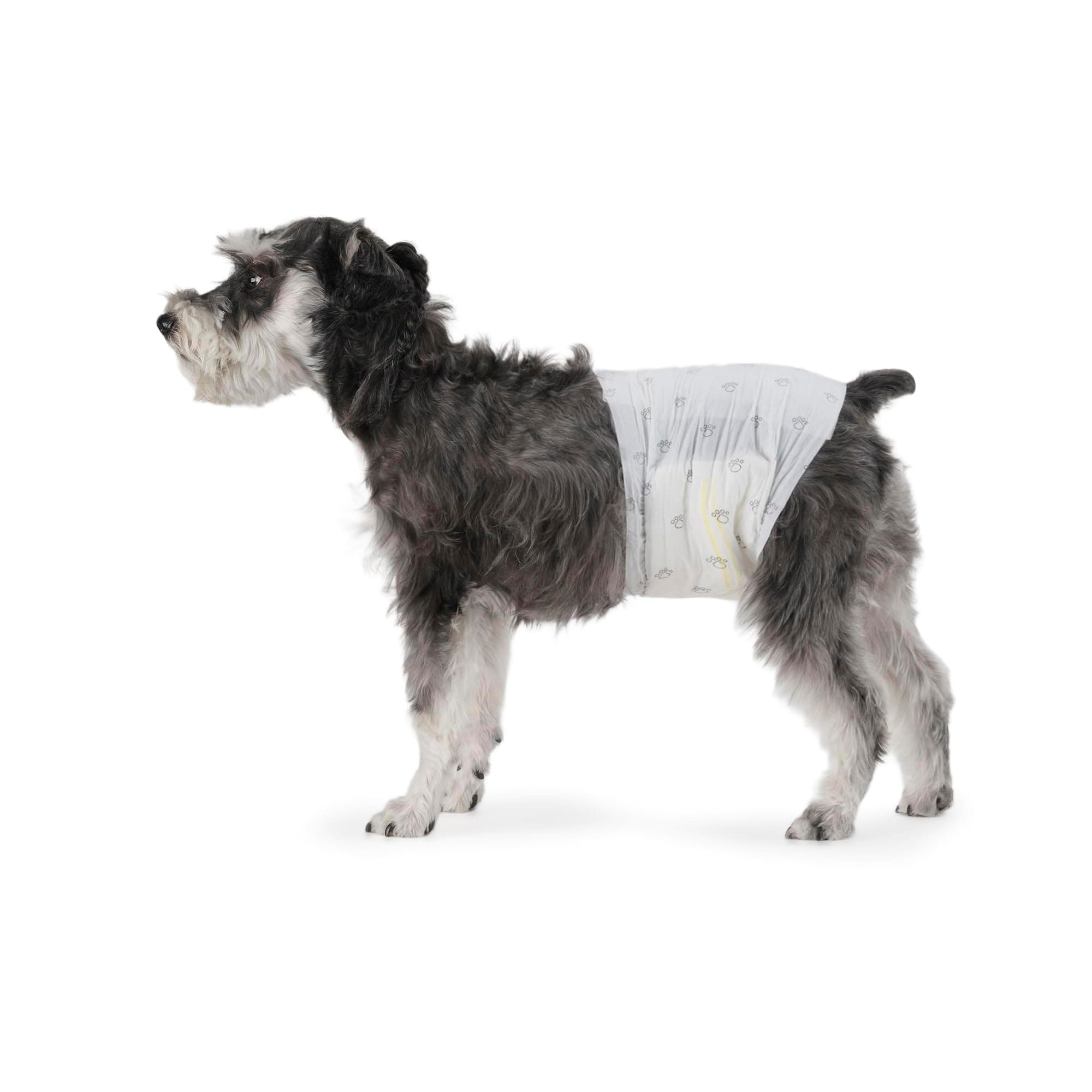 Amazon Basics Pannolini usa e getta per cani maschi, Medio (confezione da 30), Bianco