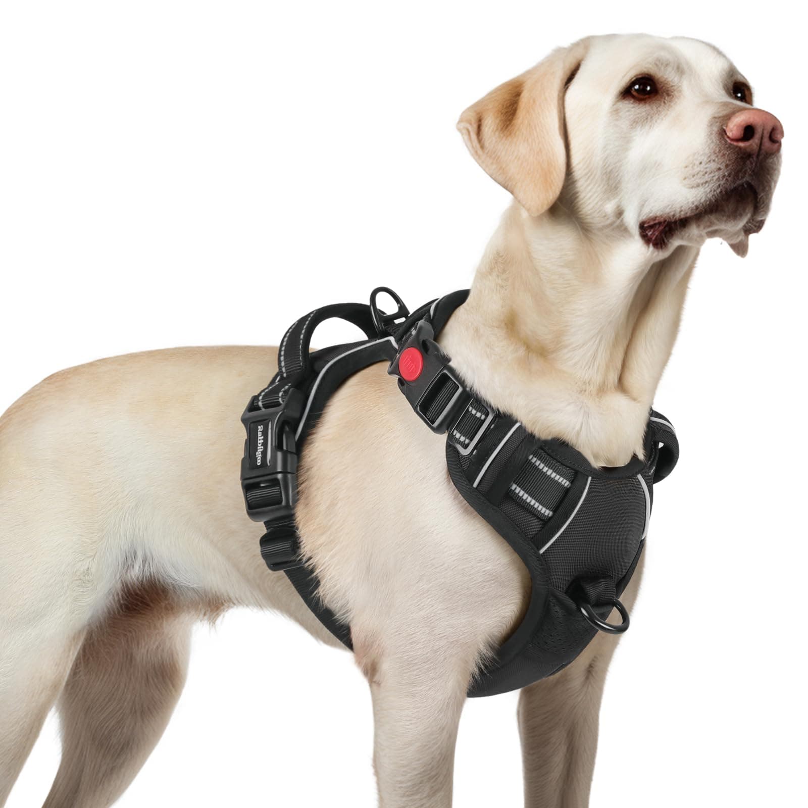 rabbitgoo Arnes Perro Mediano con 3 Hebillas, Liberacion del Cuello, Arnes Perro Ajustable con Asa y Clip Frontal, Arnés Antitirones para Perros Reflectante para Adiestramiento Correr, Negro, L