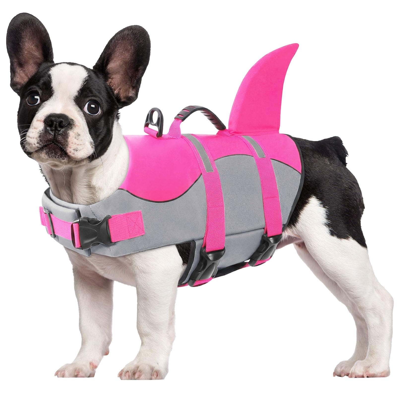 CITÉTOILE Salvagente per Cane, Giubbotto Salvagente per Cani, Ripstop Regolabile Squalo Giubbotto di salvataggio, Leggero e Sicuro per Gli Sport Acquatici, Rosa, L