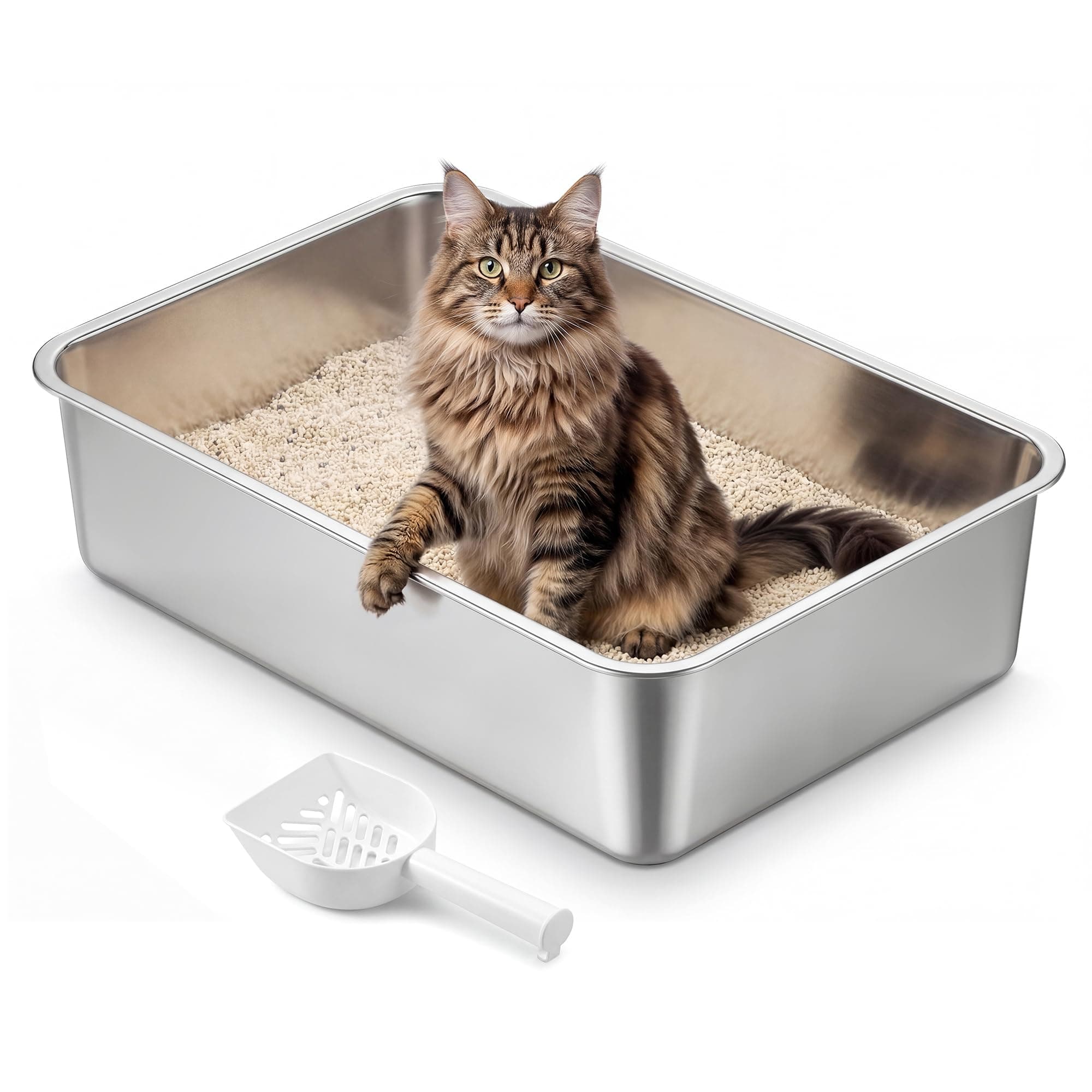 Feandrea Bac à Litière pour Chat en Acier Inoxydable, Litière Ouverte avec Pelle, Argent, 60 x 40 x 15 cm, pour Grands Chats PPT019E101