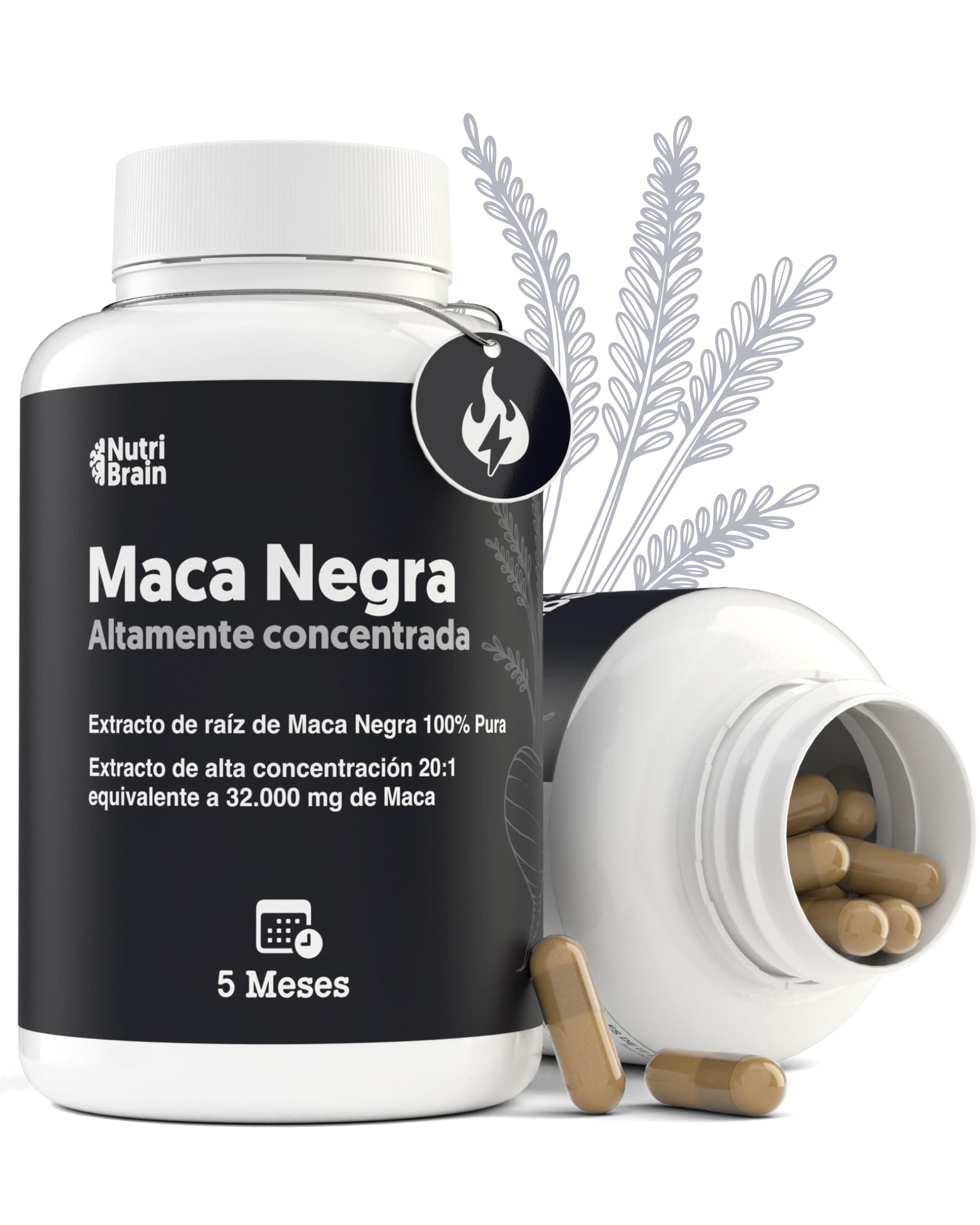 Maca Negra Peruana 100% Pura 32.000mg Ultraconcentrada Andina – Únicamente Maca Pura, SIN Ingredientes Adicionales Indeseados