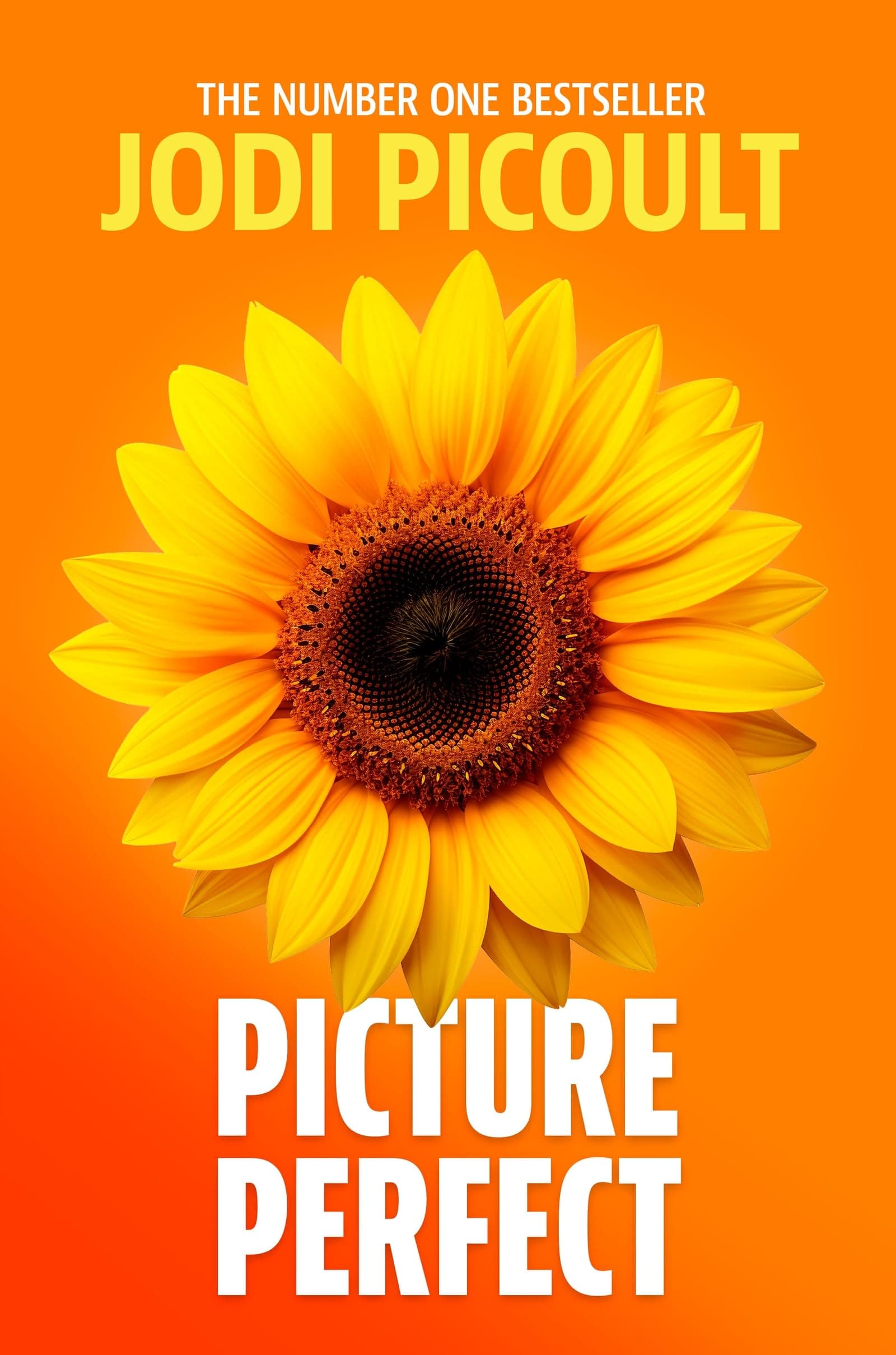 Picture Perfect: A totally gripping and emotional book club novel from the bestselling author of My Sister's Keeper (English Edition)