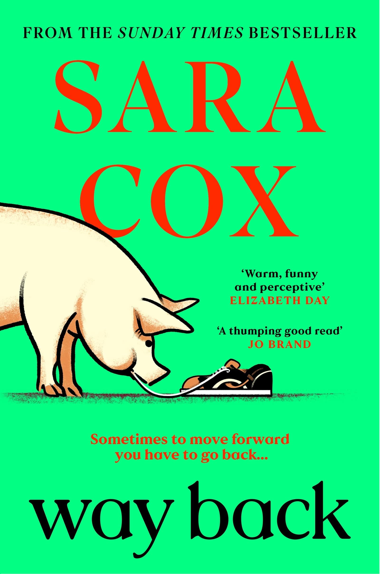 Way Back: The warm and witty novel from the bestselling author of Thrown, and BBC Radio 2 broadcaster (English Edition)