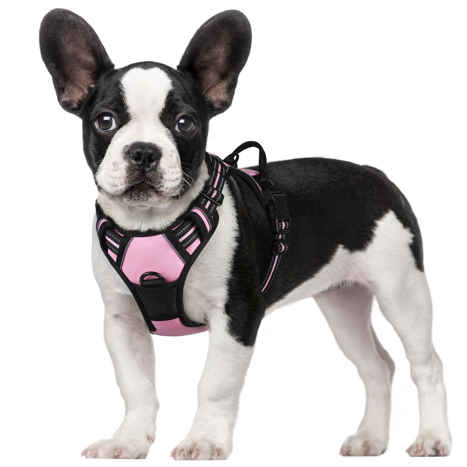 rabbitgoo Arnes Perro Pequeño, Arnes Perro Antitirones Coche con Lineas Reflecantes, Chaleco Acolchado Ajustable Transpirable con Asa y Anillos para Adiesreamiento Correr Tamaño S Color Rosa